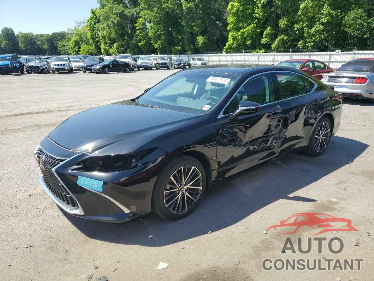 LEXUS ES350 2022 - 58ADZ1B1XNU131038