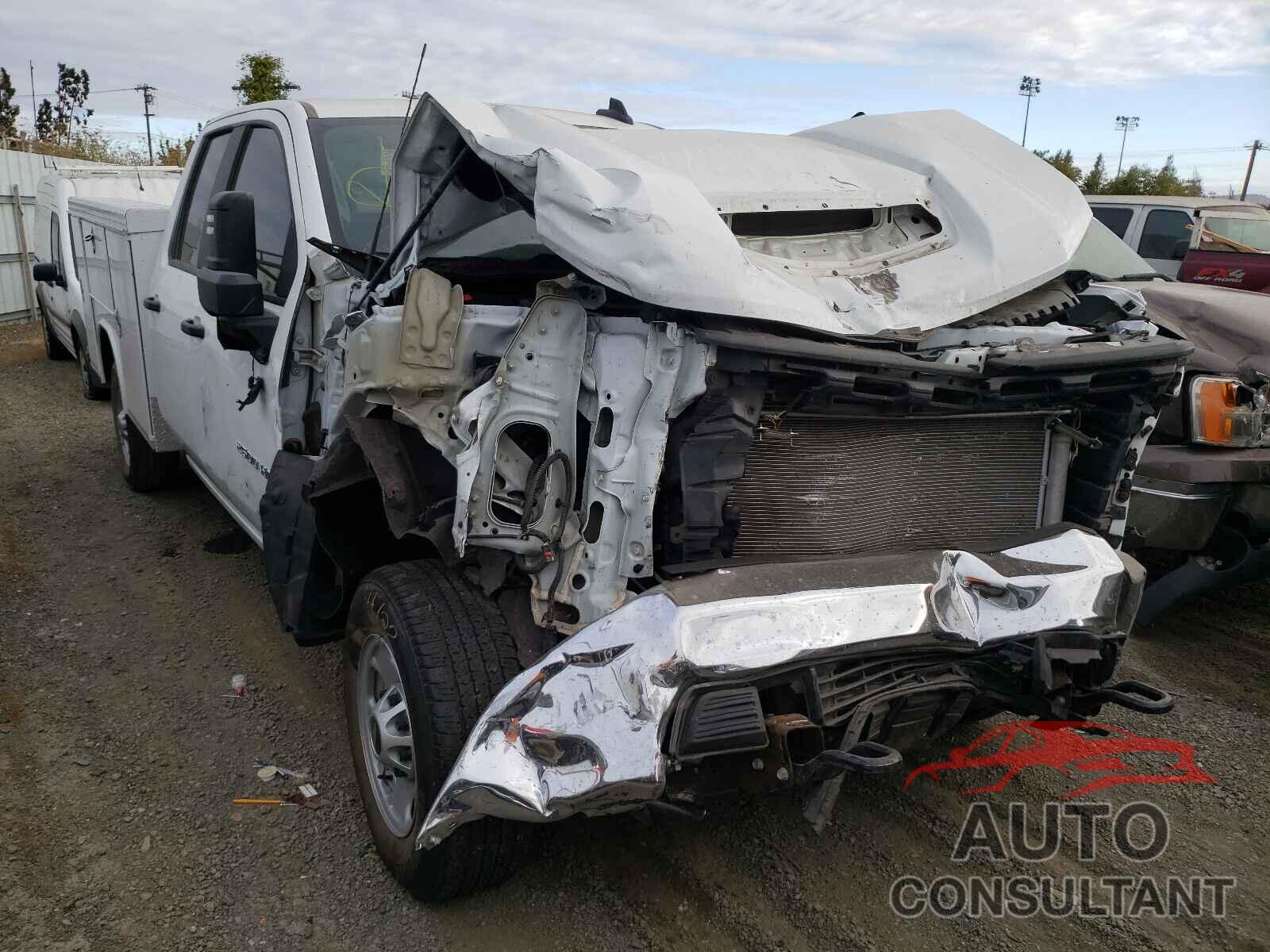 CHEVROLET SILVERADO 2021 - 1GB5WLE71MF209802