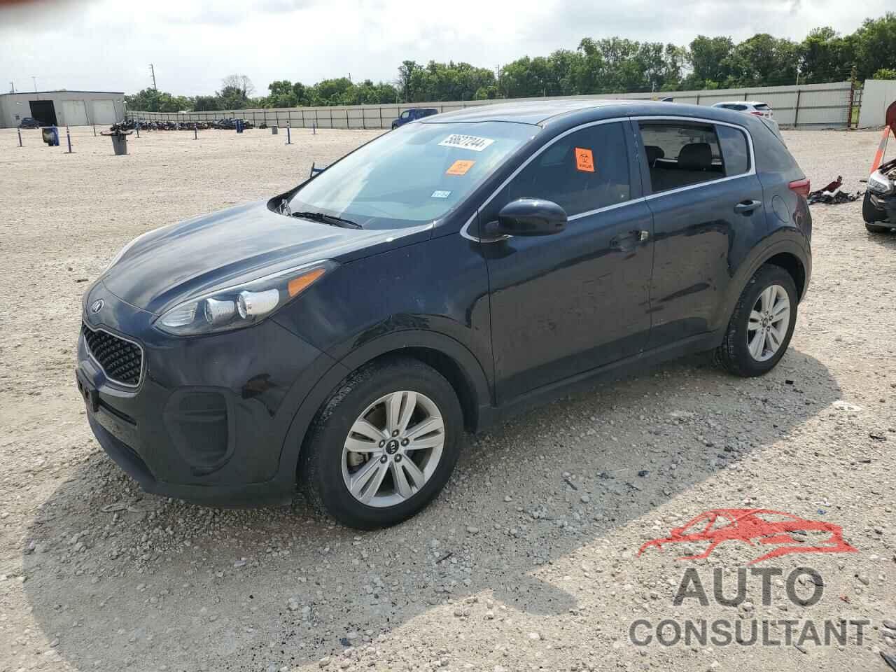 KIA SPORTAGE 2019 - KNDPM3AC1K7552310