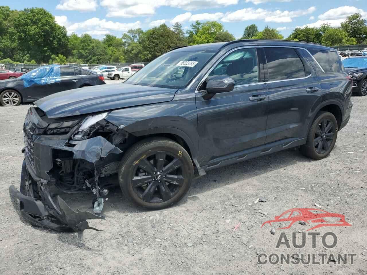 HYUNDAI PALISADE X 2024 - KM8R3DGE2RU713619