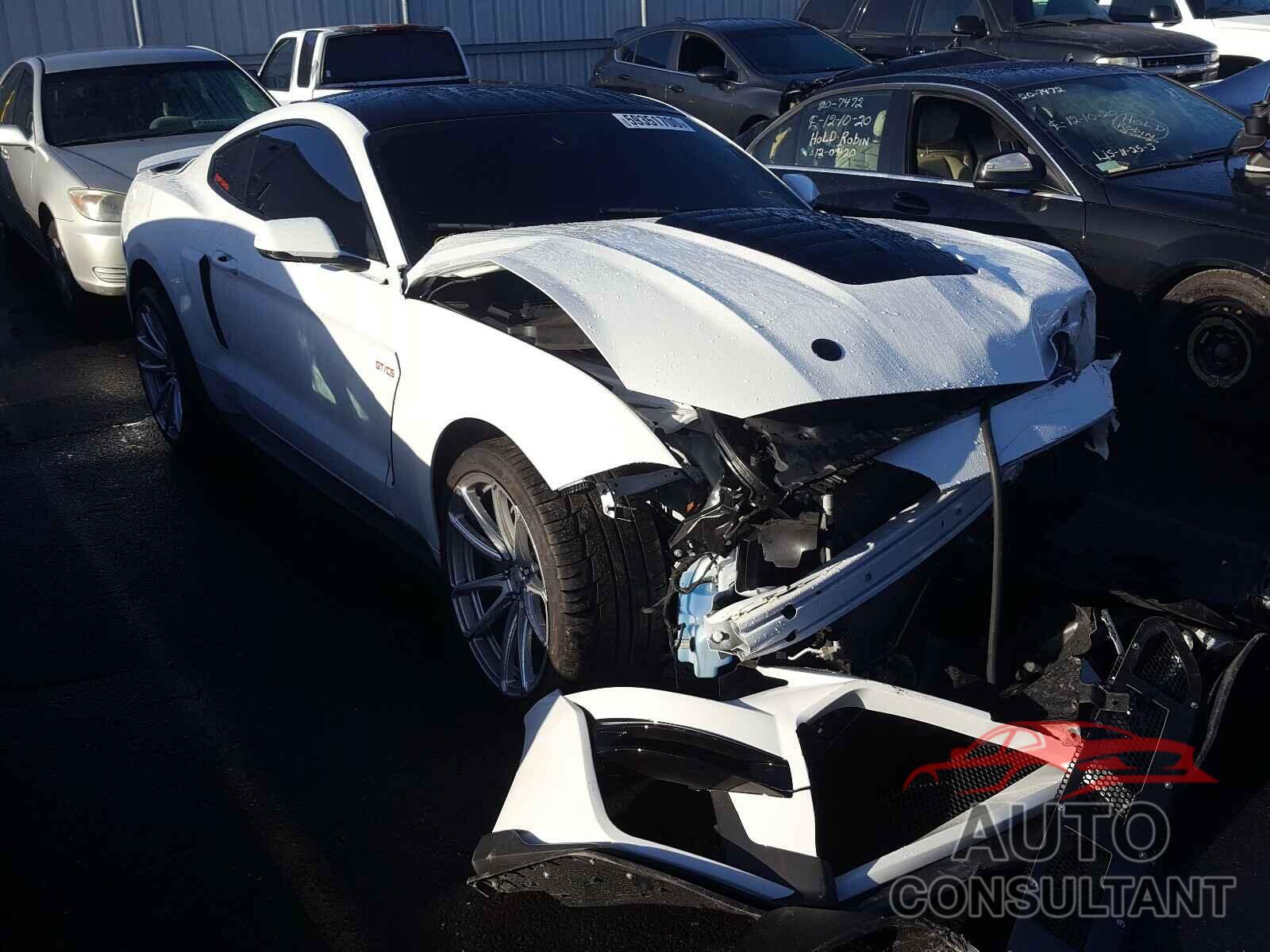 FORD MUSTANG 2019 - 1FA6P8CF1K5131115