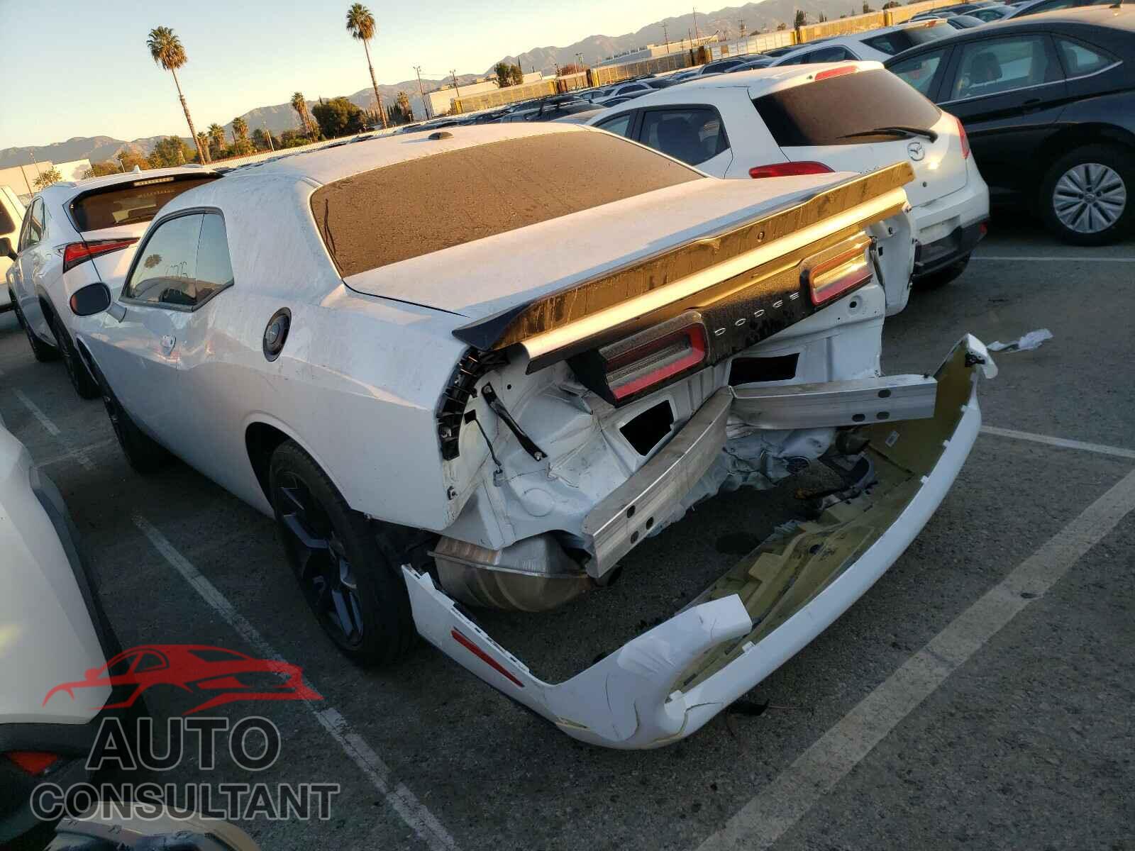 DODGE CHALLENGER 2019 - 2C3CDZAG5KH500417