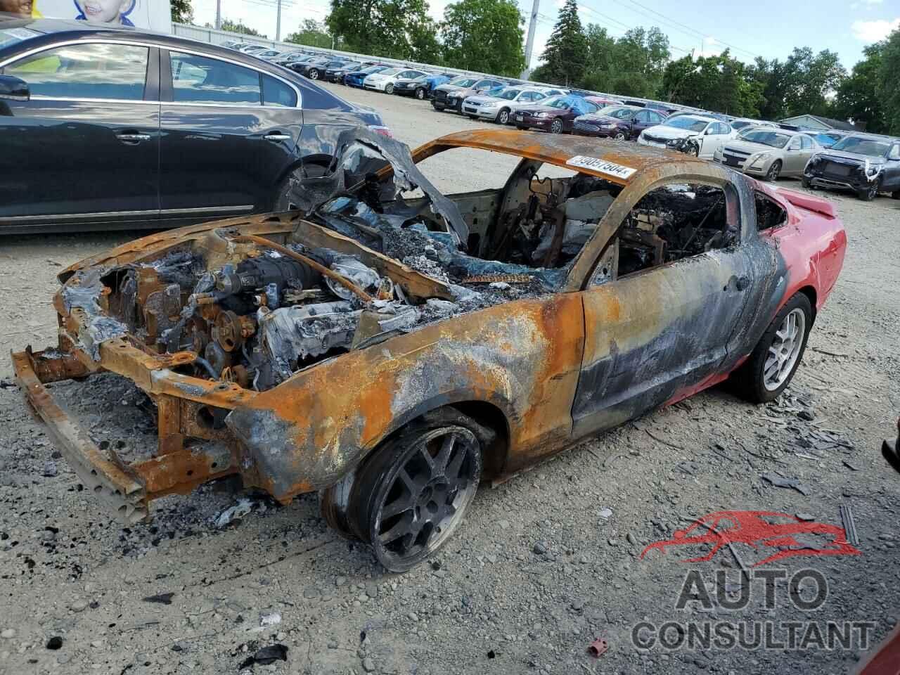 FORD MUSTANG 2009 - 1ZVHT88S595134711