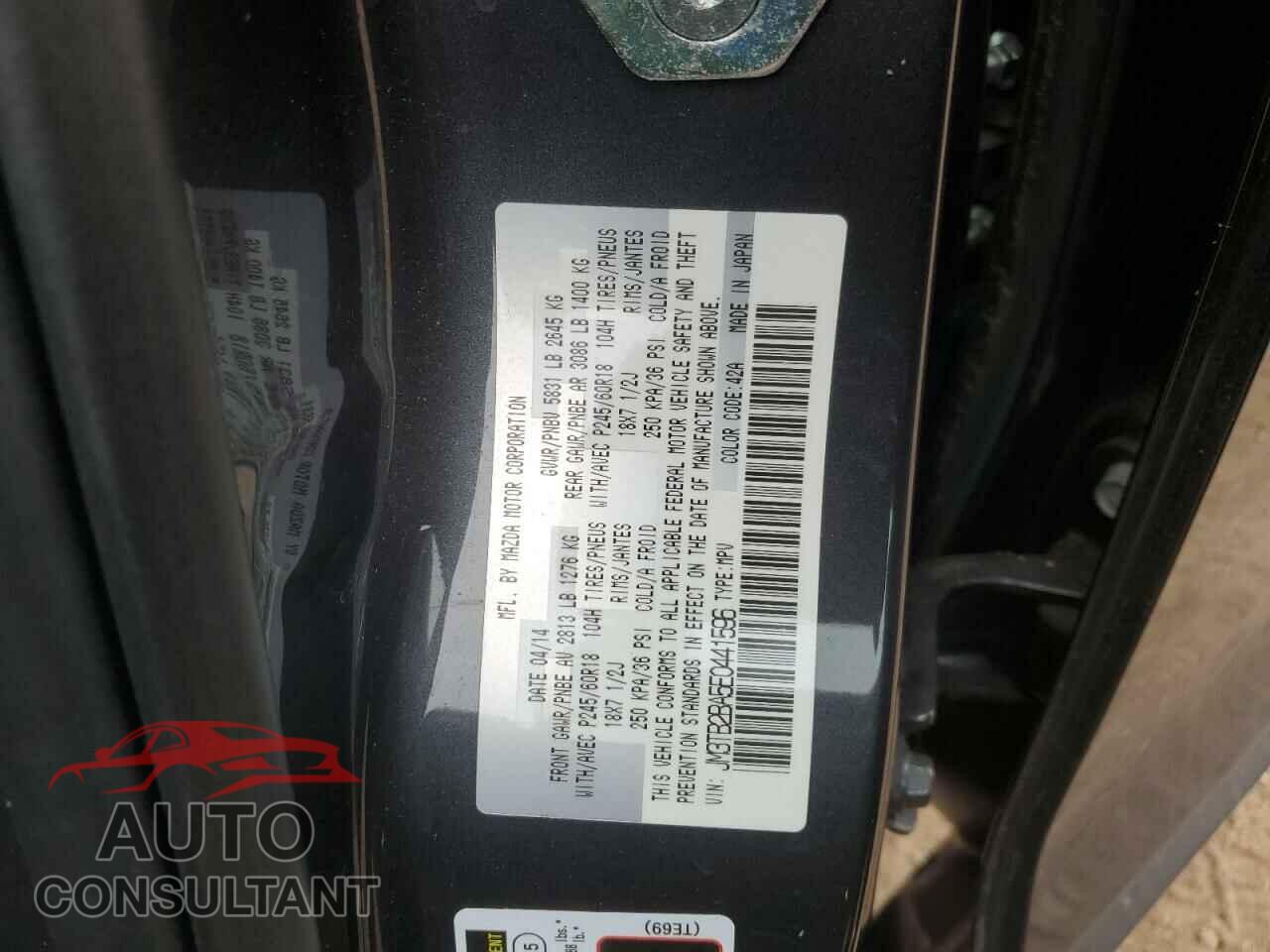 MAZDA CX-9 2014 - JM3TB2BA5E0441596