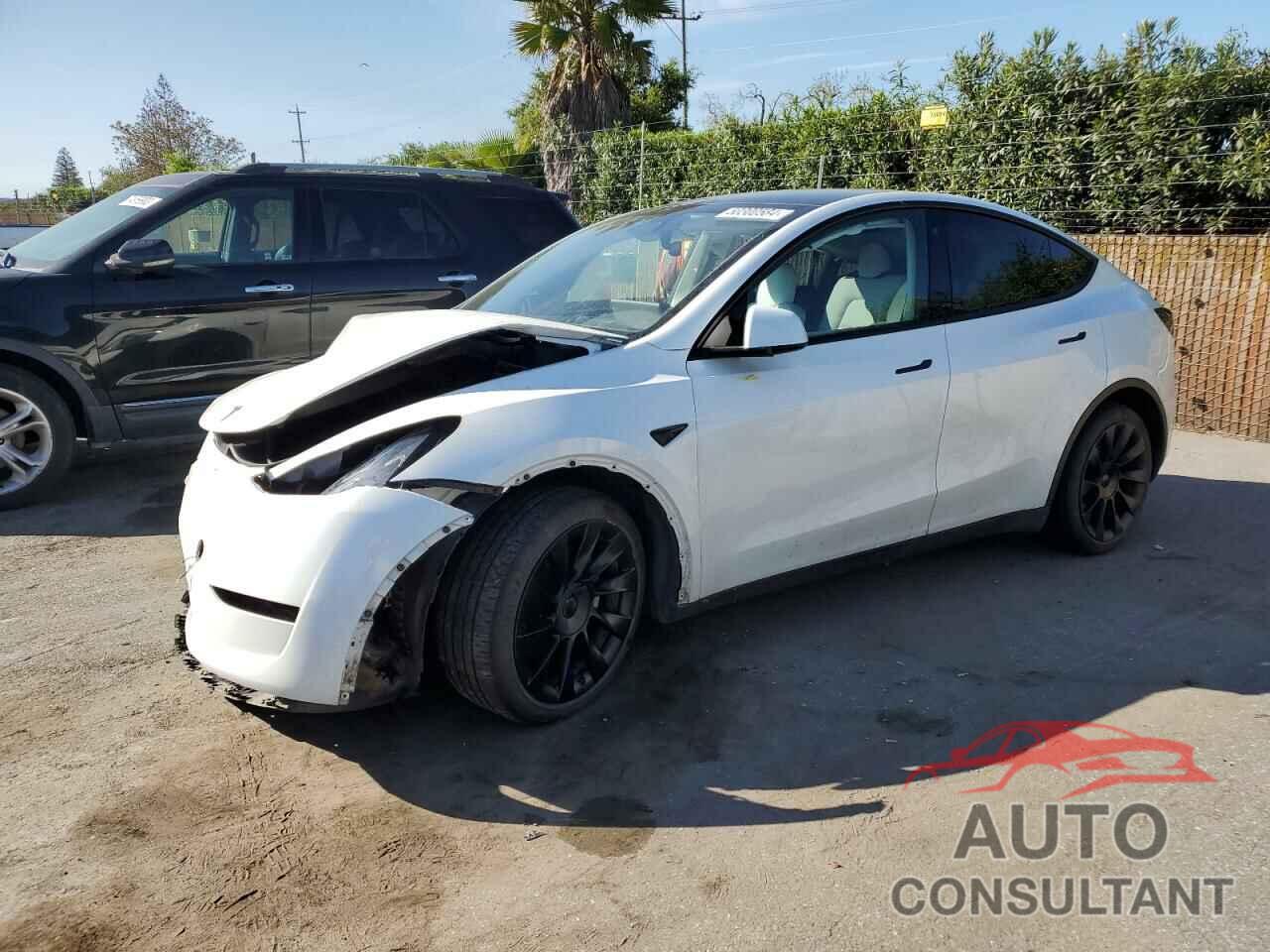 TESLA MODEL Y 2023 - 7SAYGAEE3PF640534