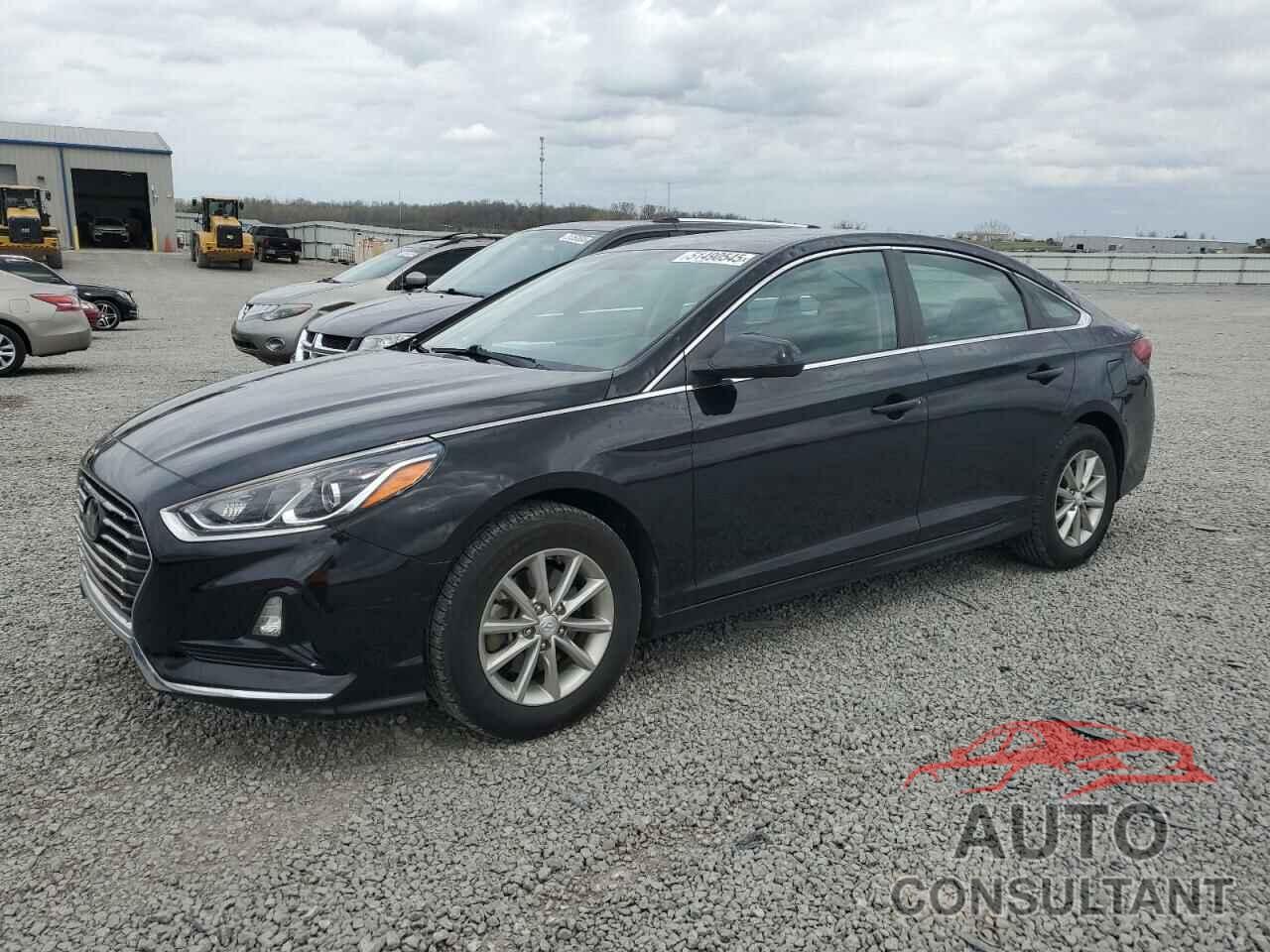 HYUNDAI SONATA 2019 - 5NPE24AF9KH760251