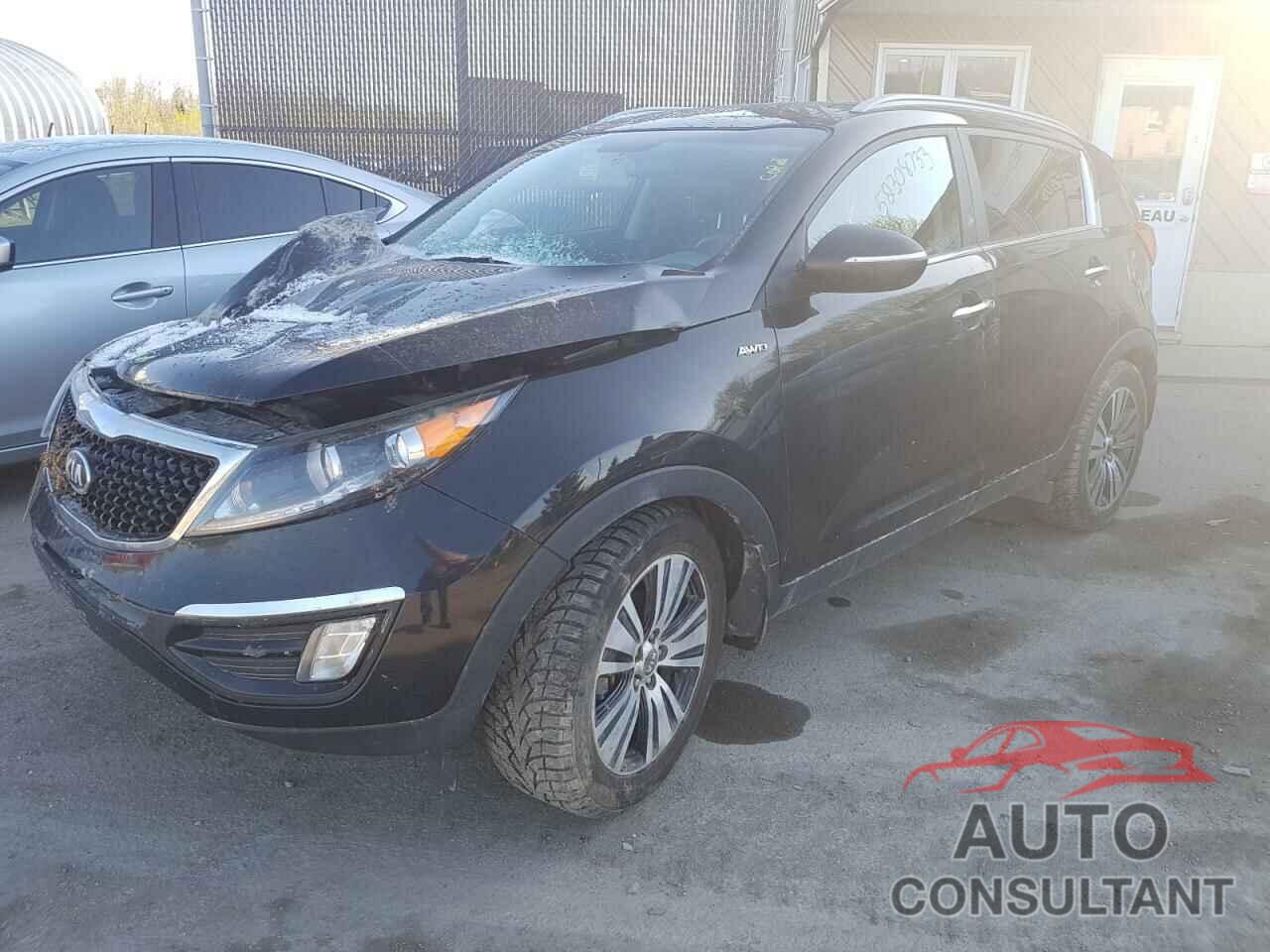 KIA SPORTAGE 2016 - KNDPCCAC4G7807073
