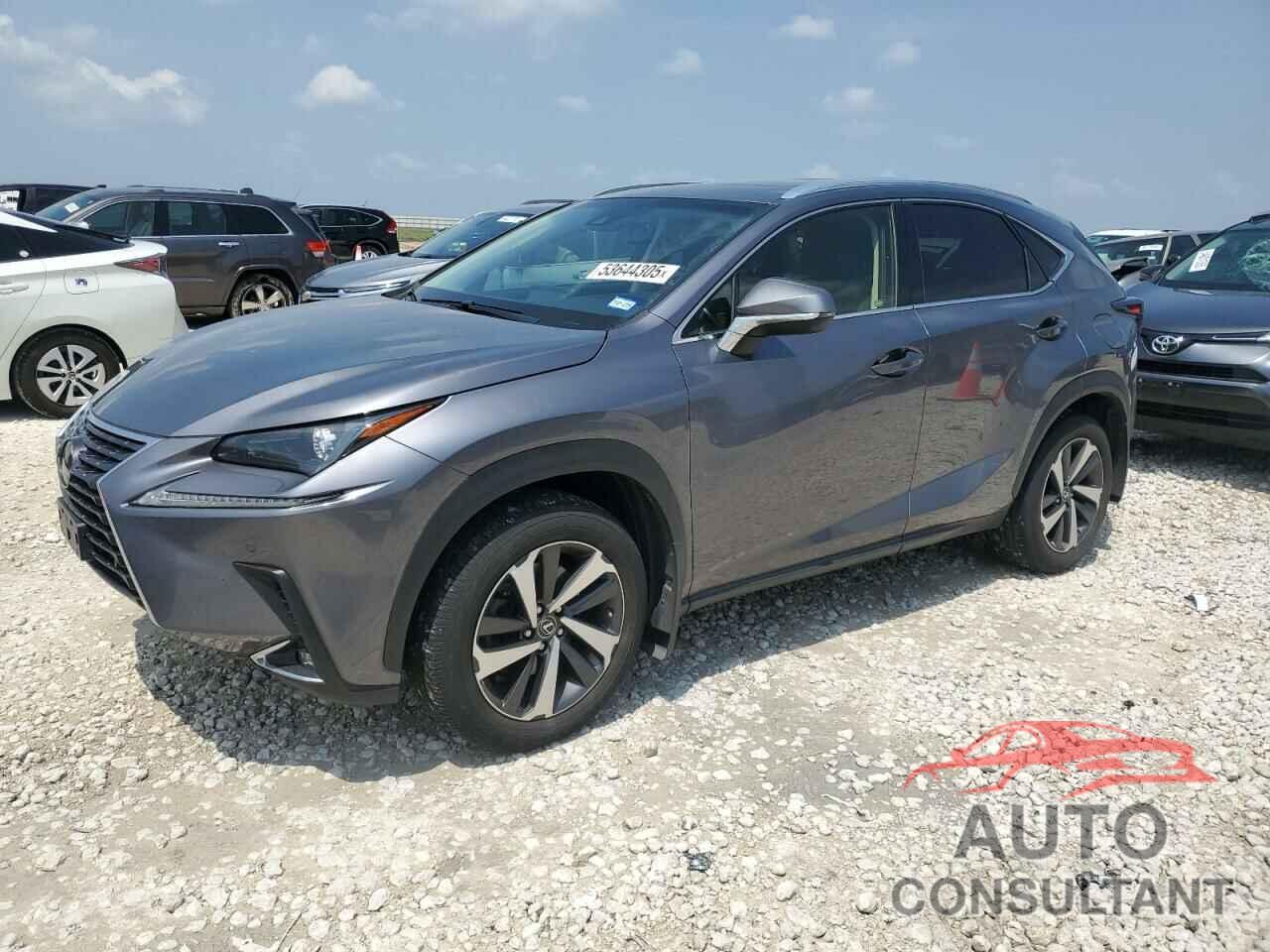 LEXUS NX 2019 - JTJBARBZ1K2183192