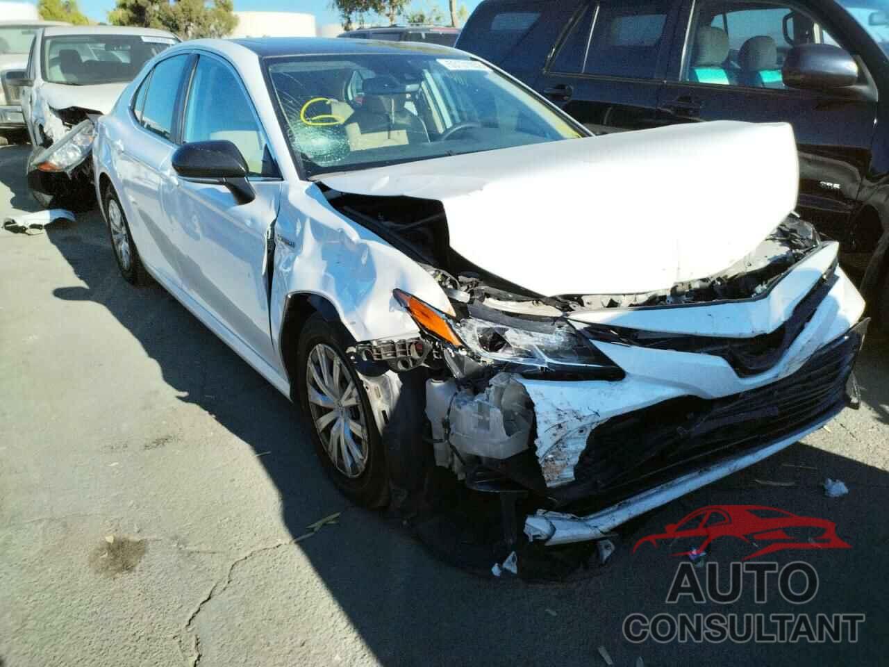 TOYOTA CAMRY 2019 - 4T1B31HK7KU008406