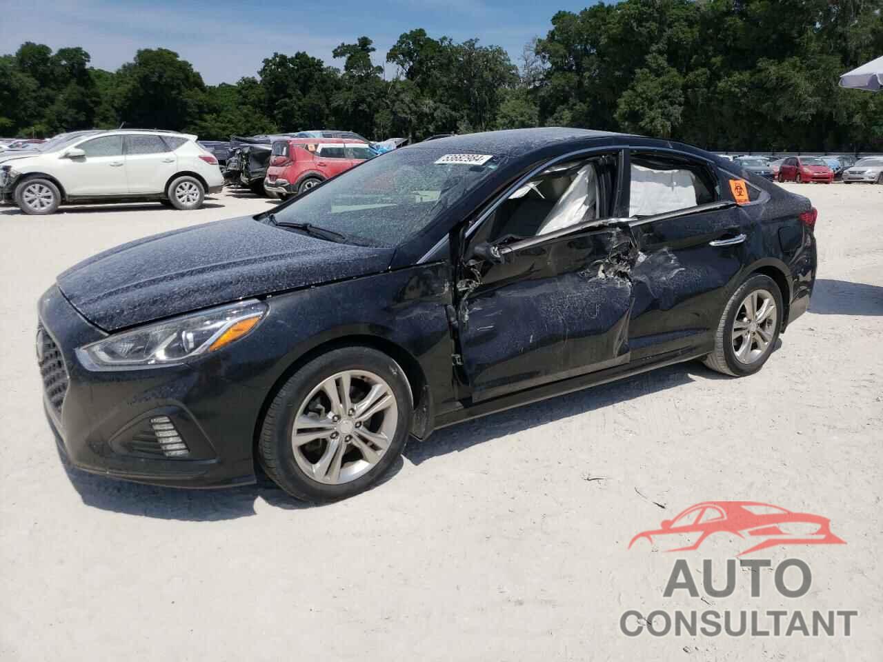 HYUNDAI SONATA 2019 - 5NPE34AF7KH733014