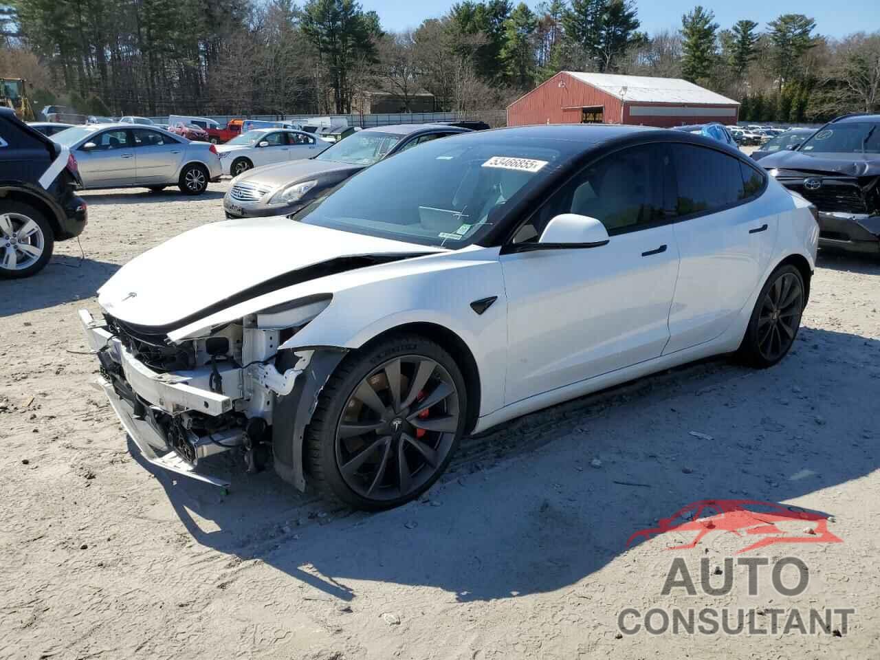TESLA MODEL 3 2019 - 5YJ3E1EB0KF231791