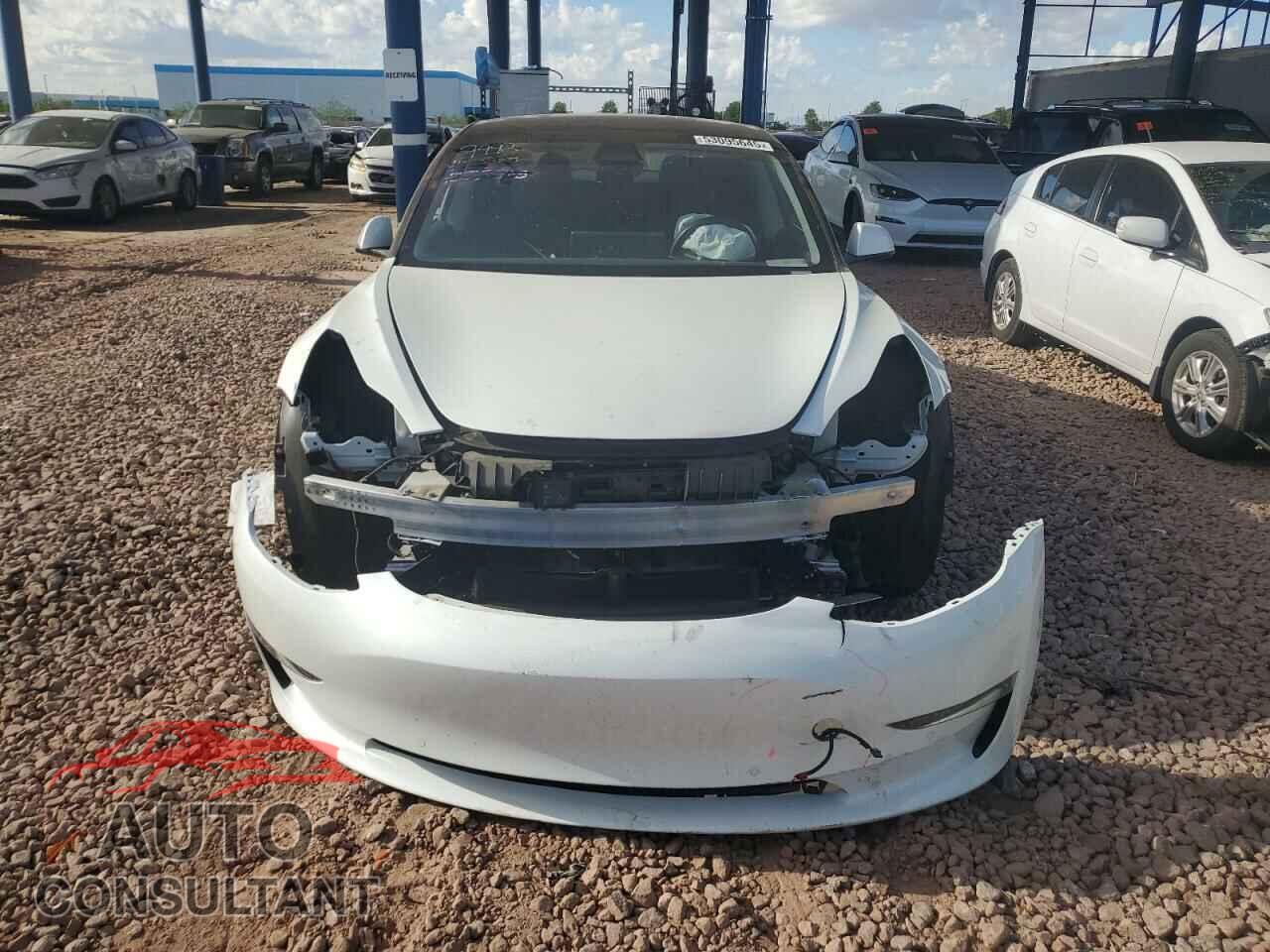 TESLA MODEL 3 2020 - 5YJ3E1EA5LF633069