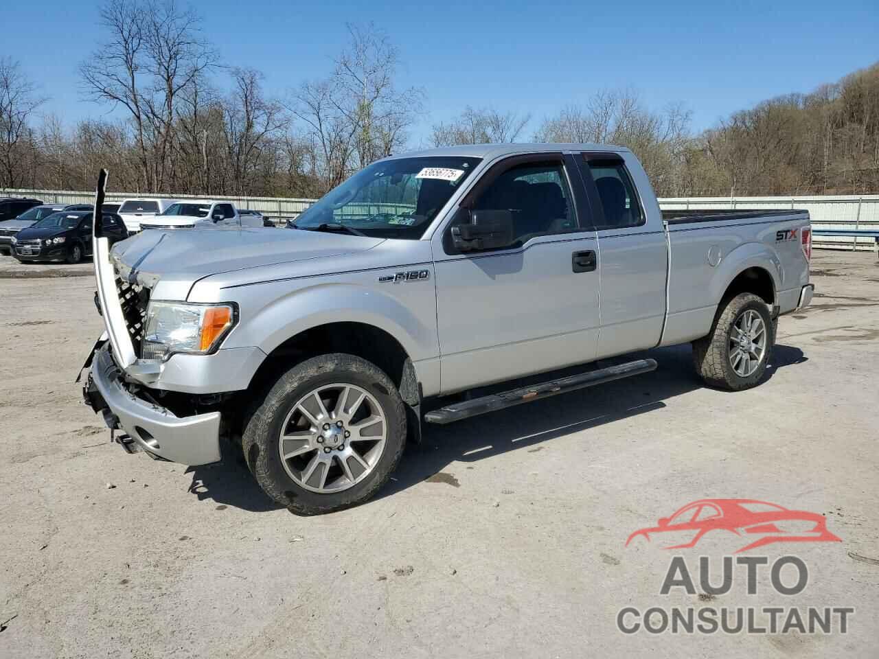 FORD F-150 2014 - 1FTFX1EF5EKG03532