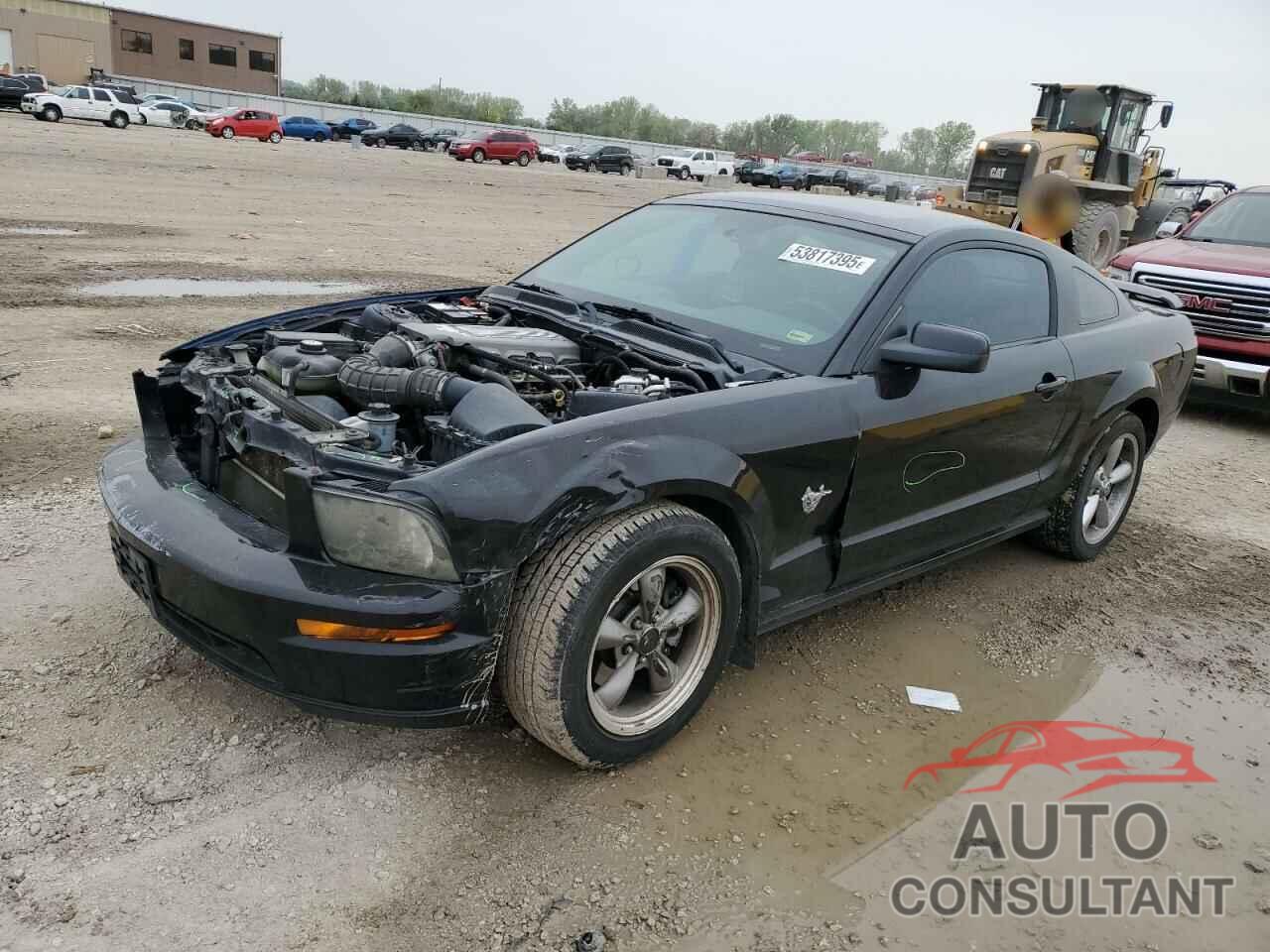FORD MUSTANG 2009 - 1ZVHT82HX95105699