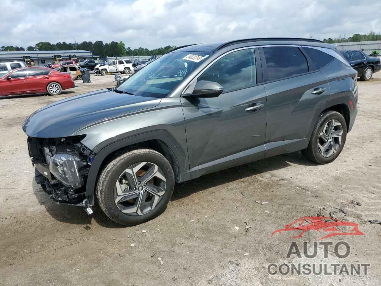 HYUNDAI TUCSON 2024 - KM8JCCD15RU225516