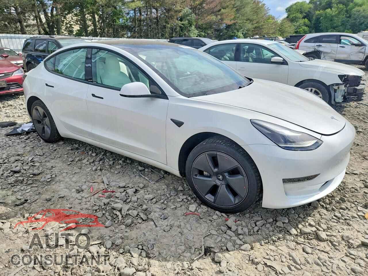 TESLA MODEL 3 2021 - 5YJ3E1EA3MF920492
