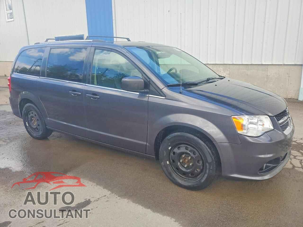 DODGE CARAVAN 2019 - 2C4RDGDG8KR596205