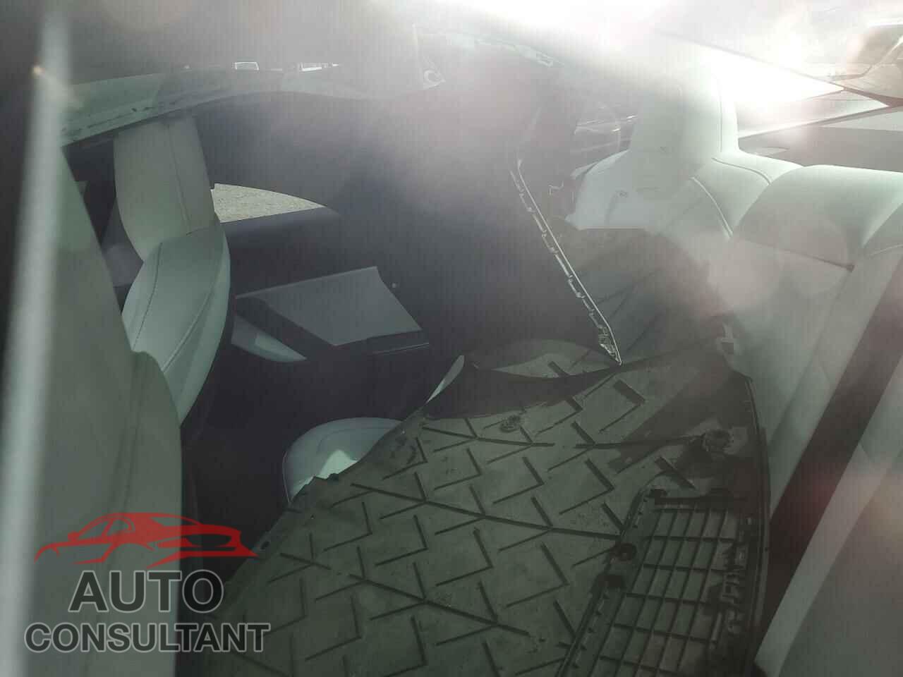 TESLA MODEL 3 2019 - 5YJ3E1EA3KF444886