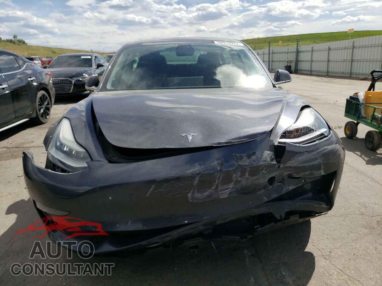 TESLA MODEL 3 2019 - 5YJ3E1EB9KF386887