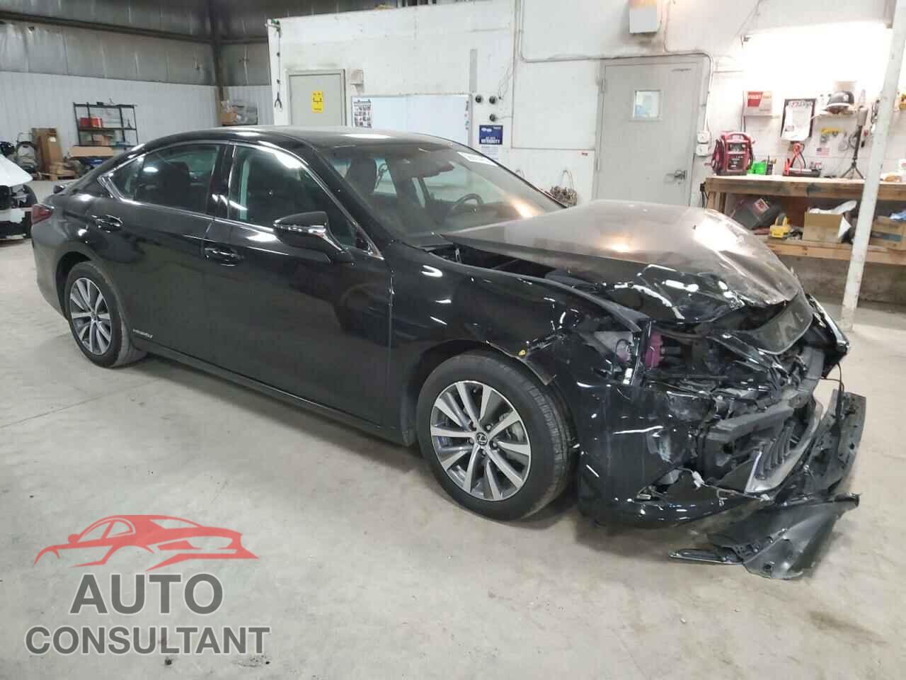 LEXUS ES300 2021 - 58ADA1C19MU005564