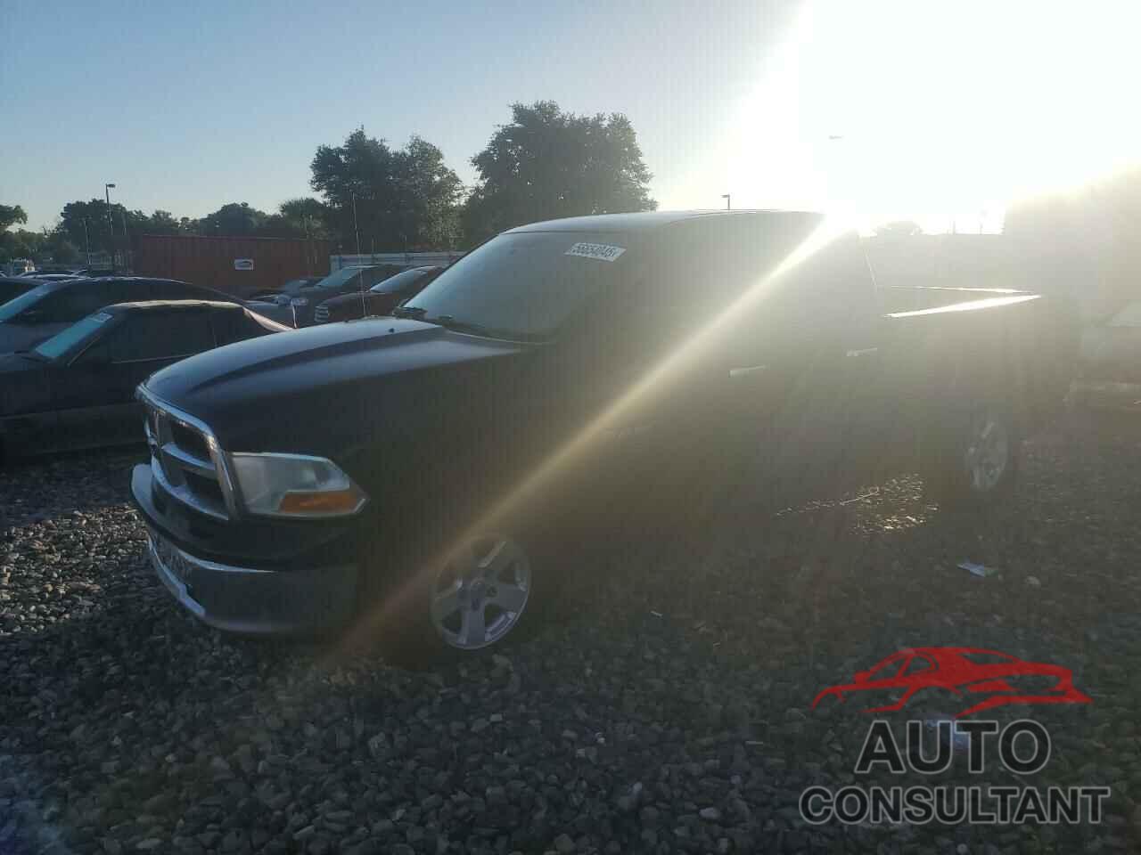 DODGE All Models 2010 - 1D7RB1GP2AS175842