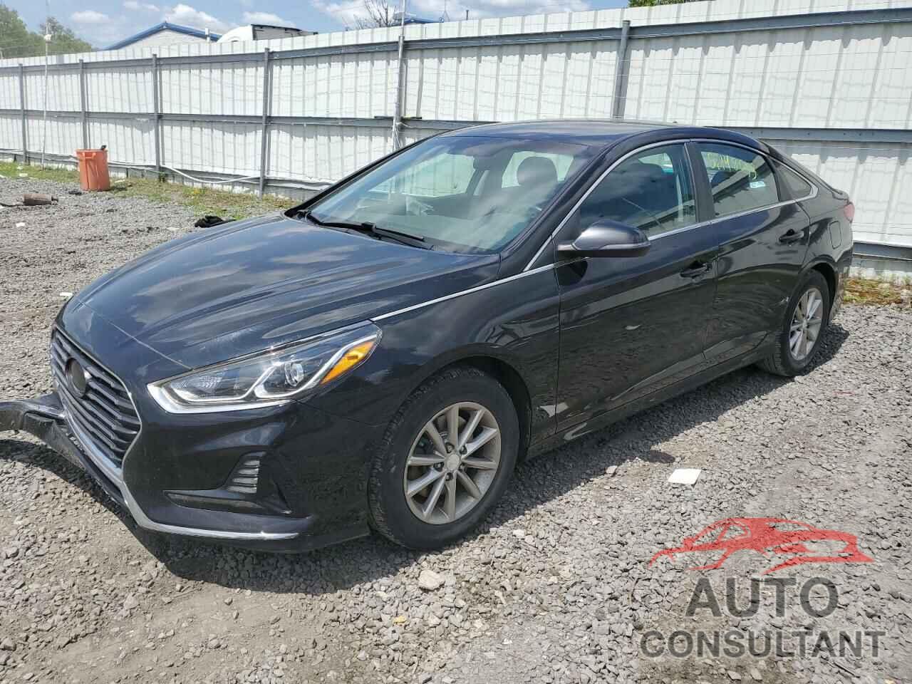 HYUNDAI SONATA 2019 - 5NPE24AF5KH742359