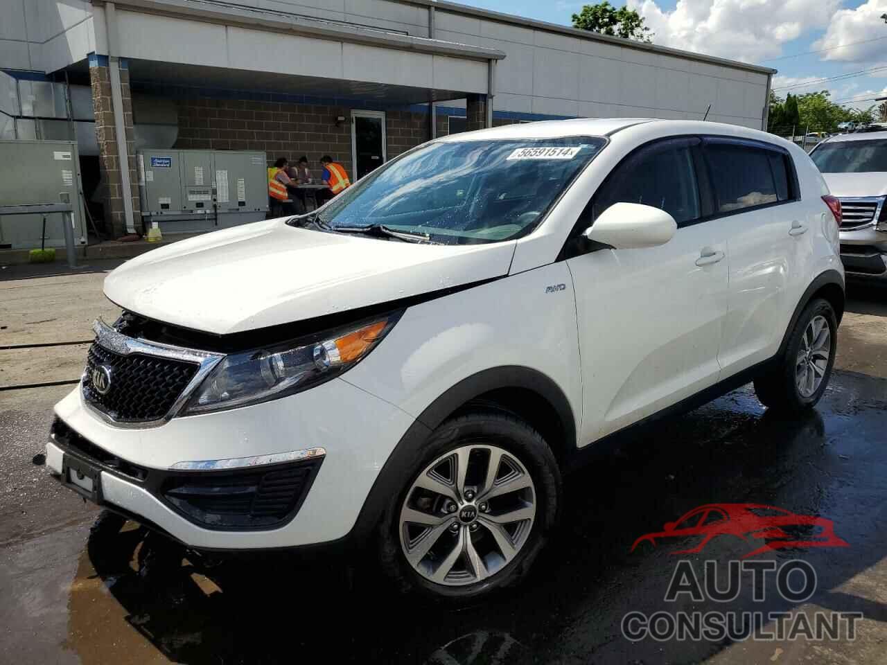 KIA SPORTAGE 2016 - KNDPBCAC5G7865423