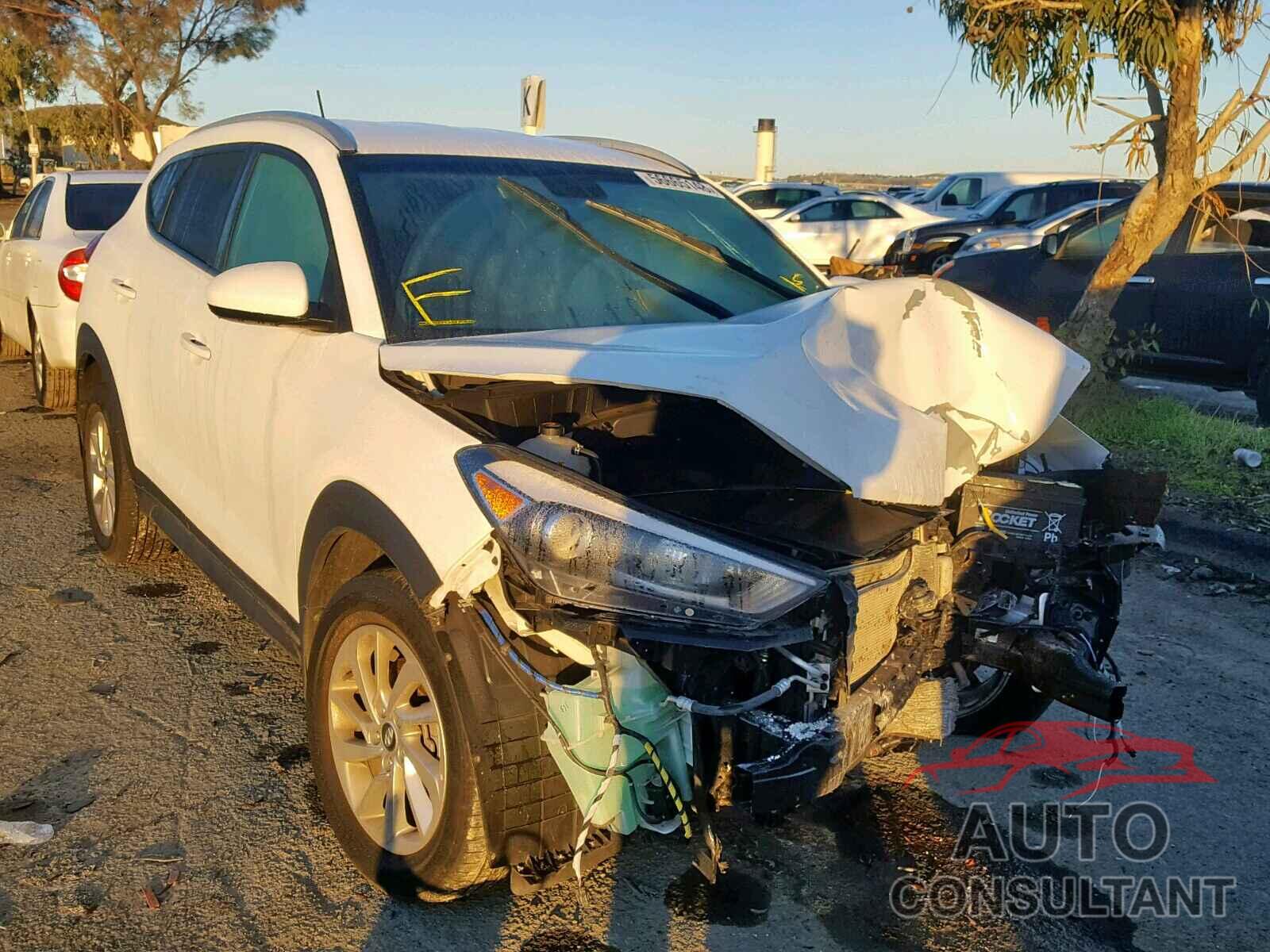 HYUNDAI TUCSON LIM 2016 - KM8J33A44GU226863