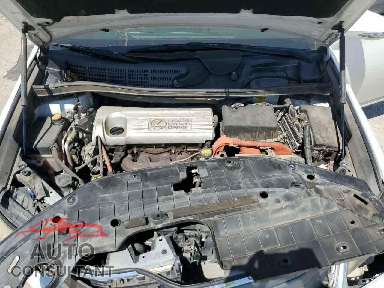 LEXUS HS 2010 - JTHBB1BA1A2018266