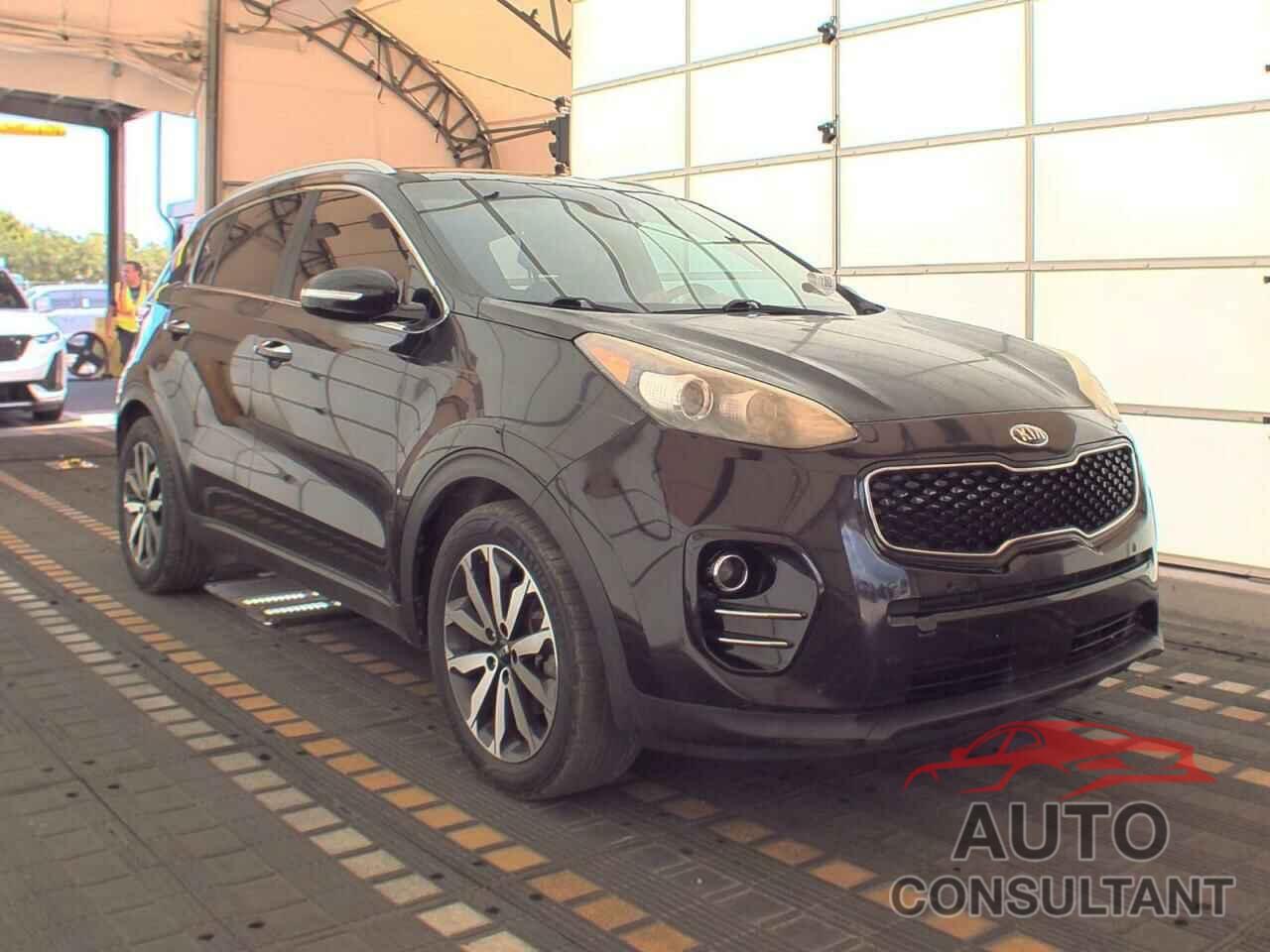 KIA SPORTAGE 2017 - KNDPN3AC3H7150598
