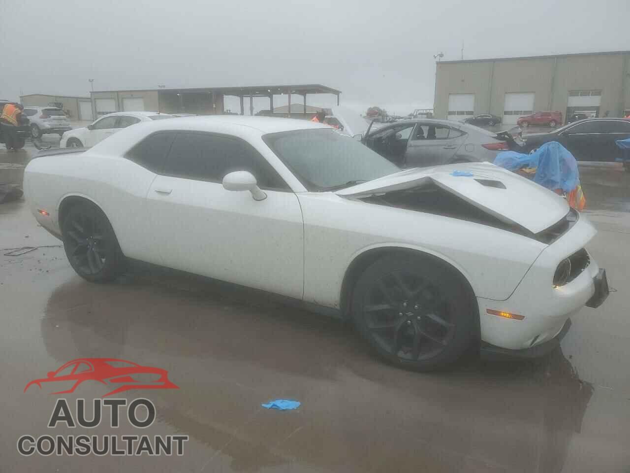 DODGE CHALLENGER 2019 - 2C3CDZAG5KH699940
