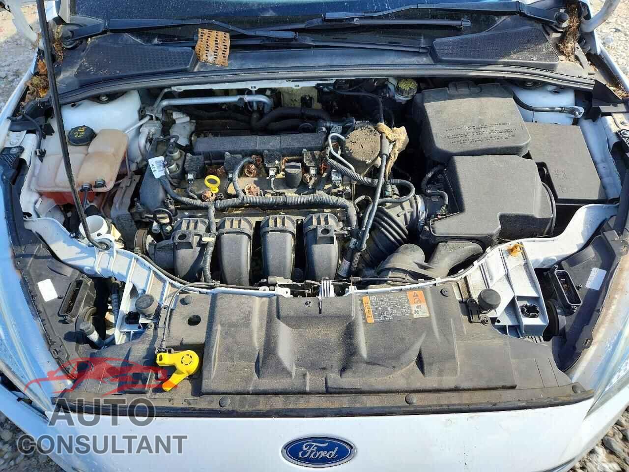 FORD FOCUS 2016 - 1FADP3F2XGL267409