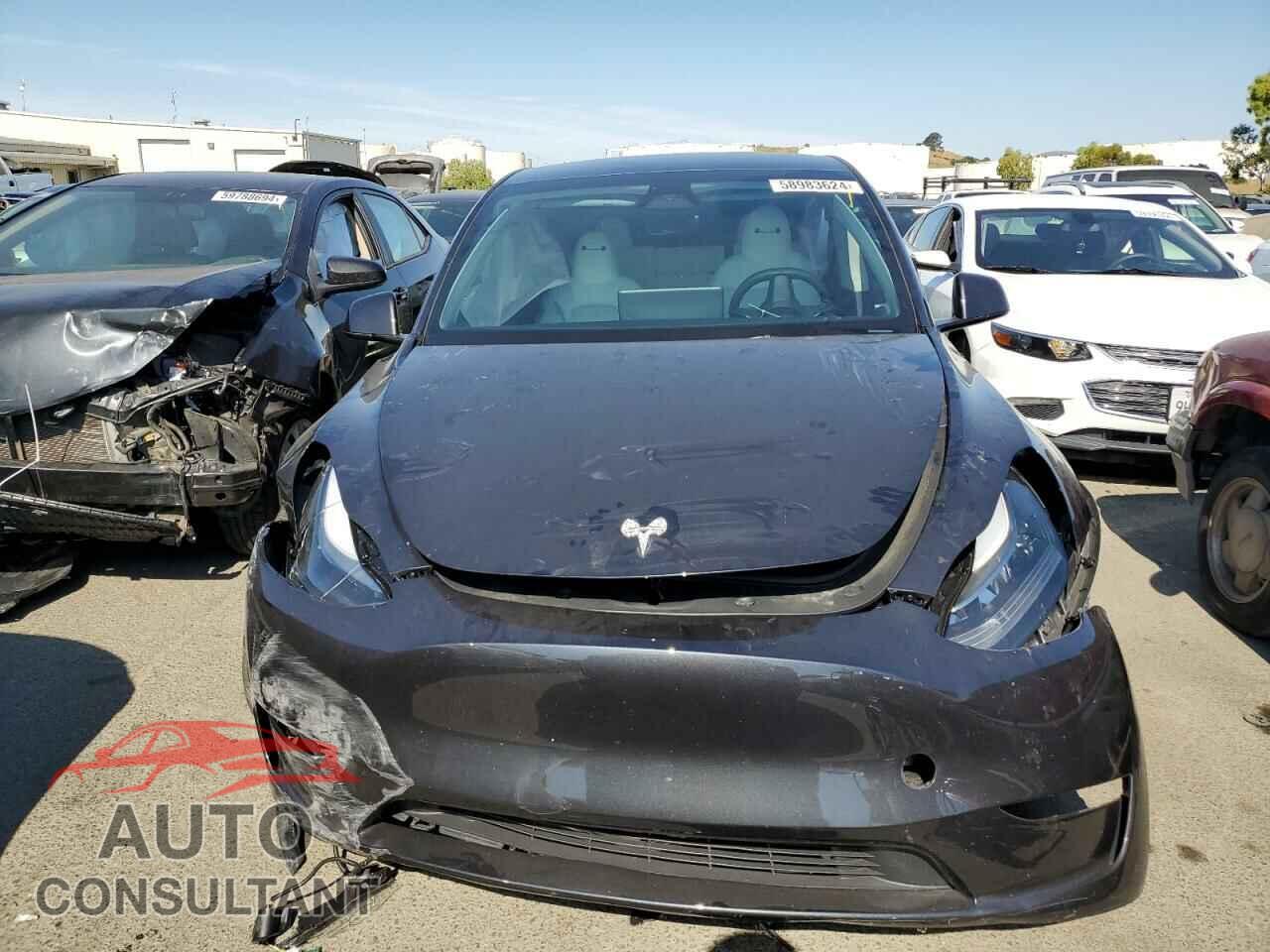TESLA MODEL Y 2024 - 7SAYGDEE2RF984845