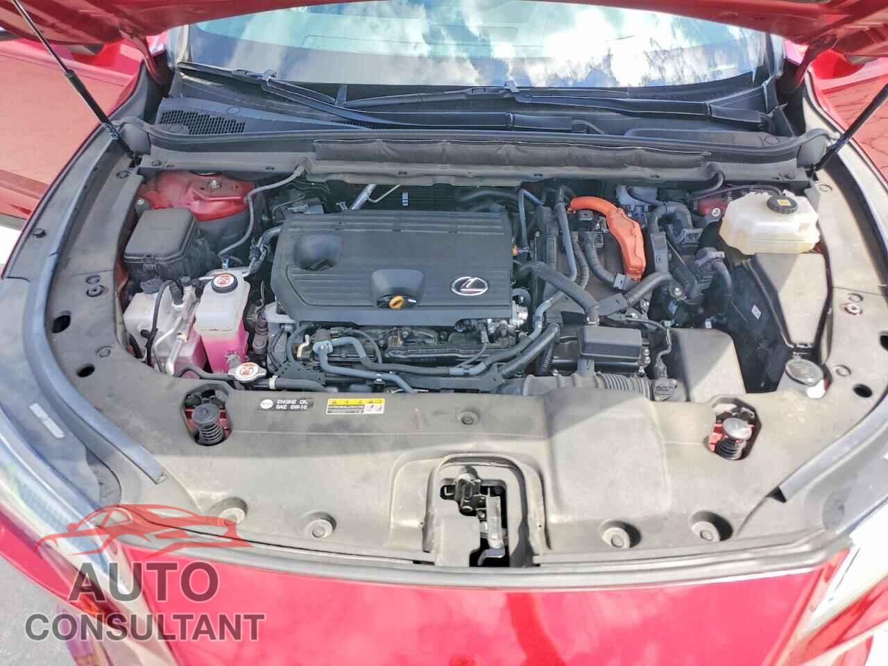 LEXUS UNKNOWN 2023 - 2T2BBMCA6PC015273