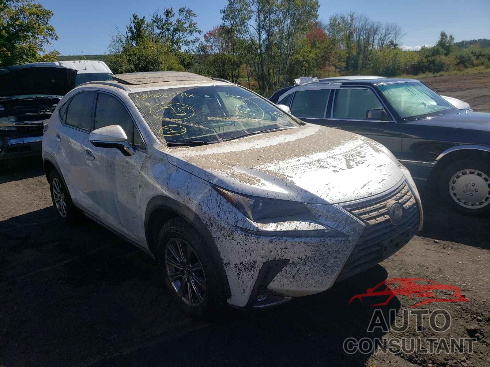 LEXUS NX 2021 - JTJDARDZ8M5019719