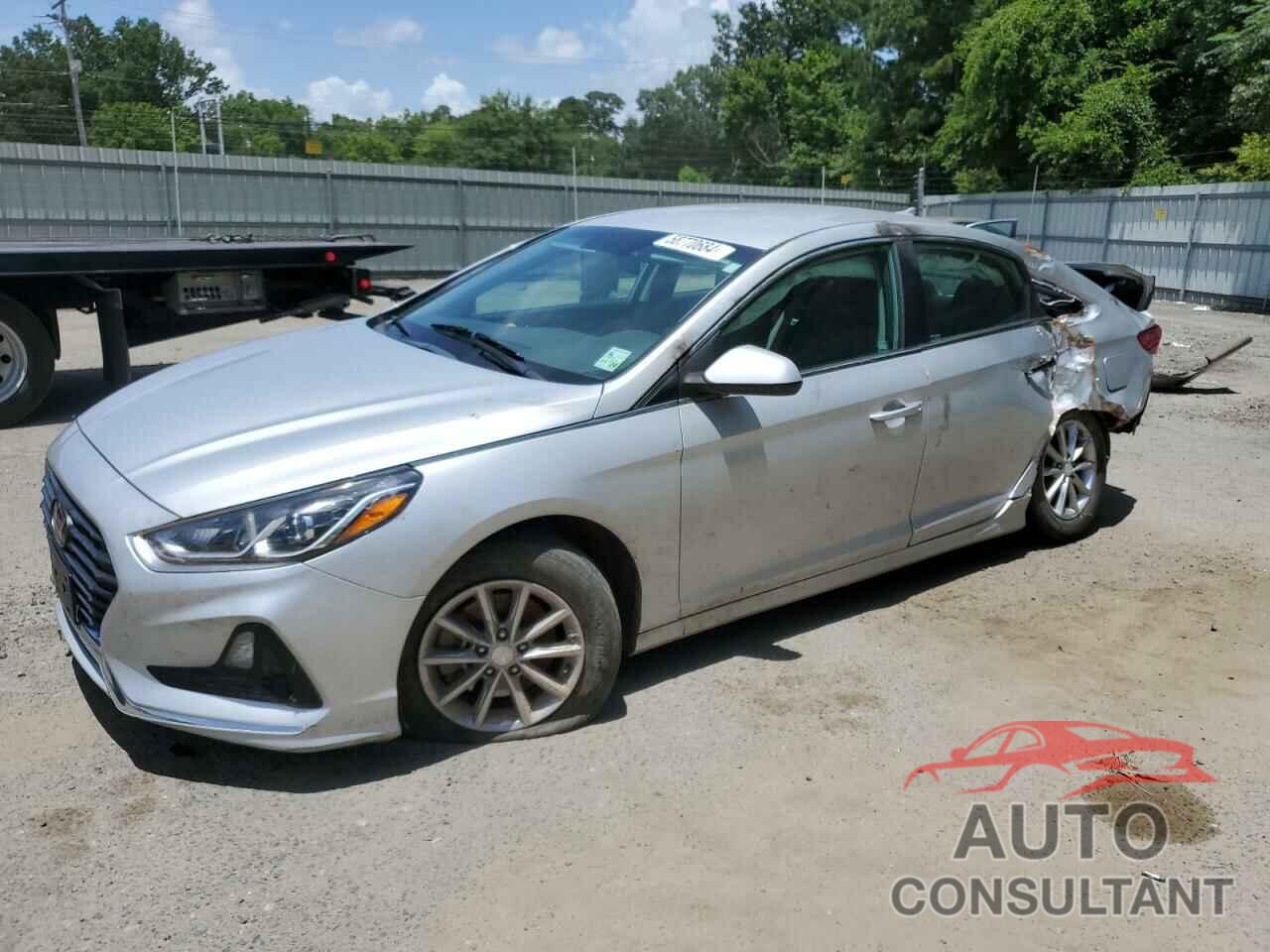 HYUNDAI SONATA 2019 - 5NPE24AF0KH773695