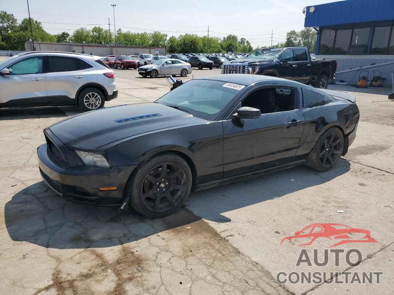 FORD MUSTANG 2014 - 1ZVBP8CFXE5261713