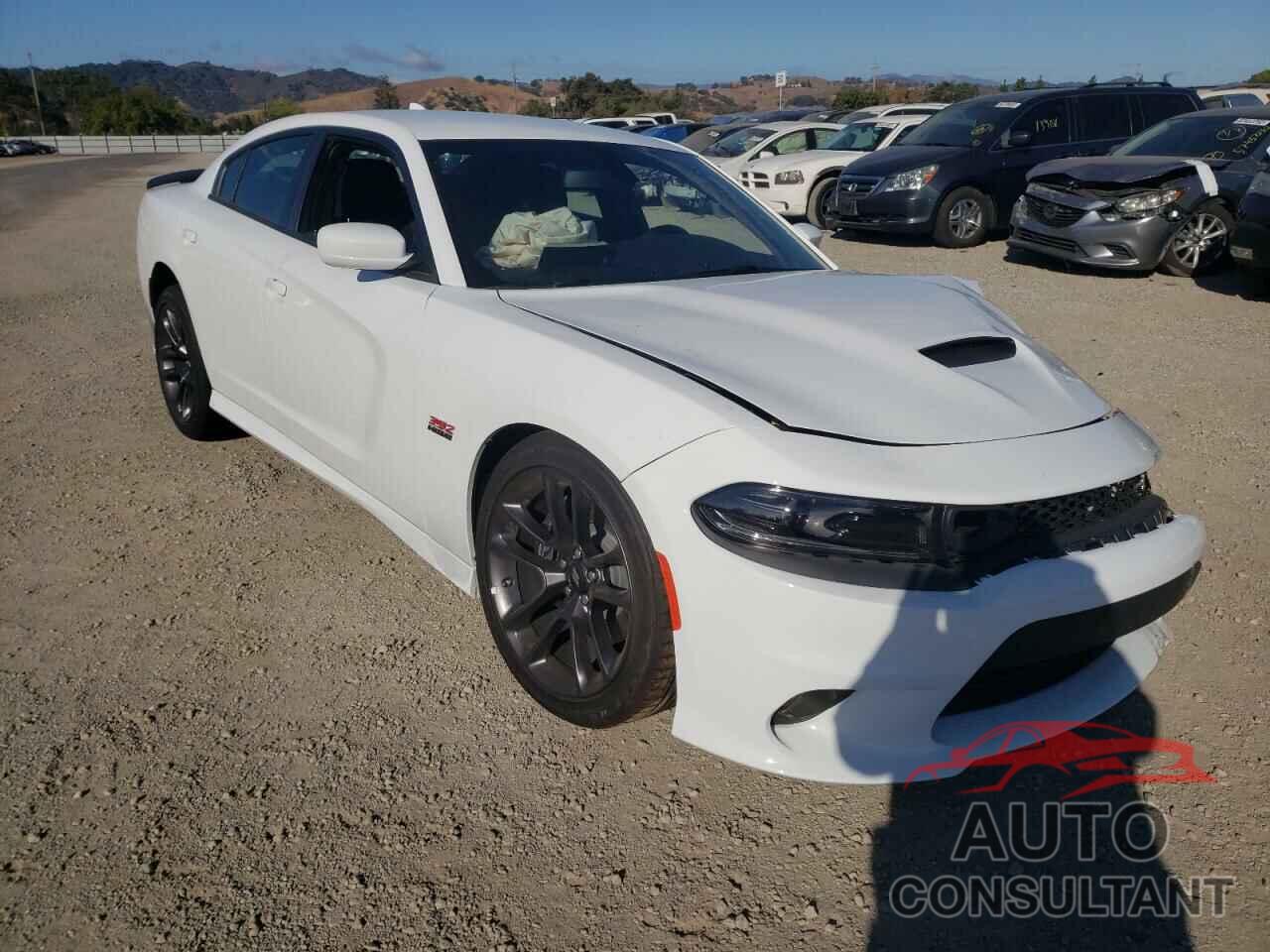 DODGE CHARGER 2022 - 2C3CDXGJ0NH166597