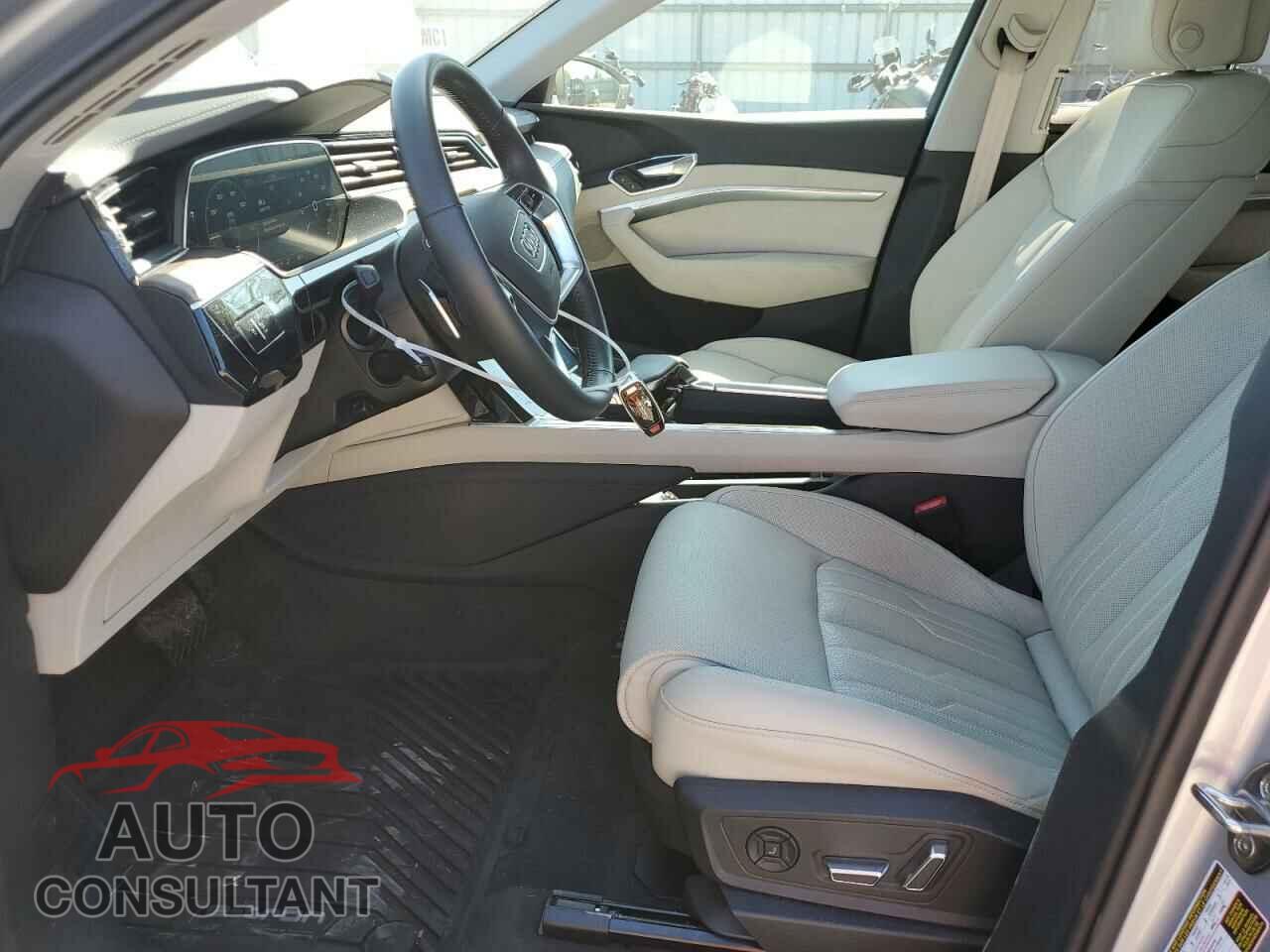 AUDI E-TRON 2019 - WA1VAAGE5KB012530