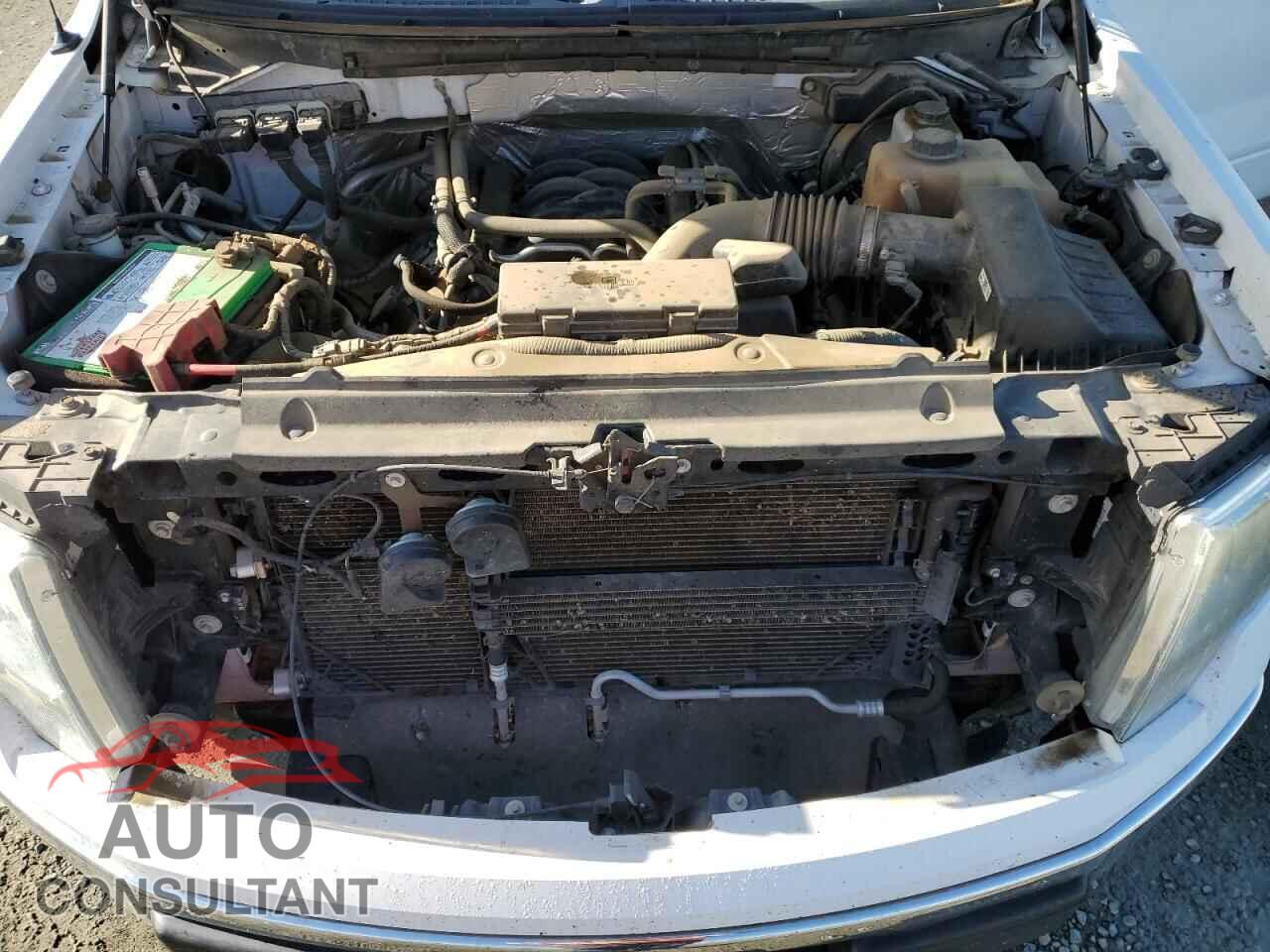 FORD F-150 2013 - 1FTFX1EF2DFC43336