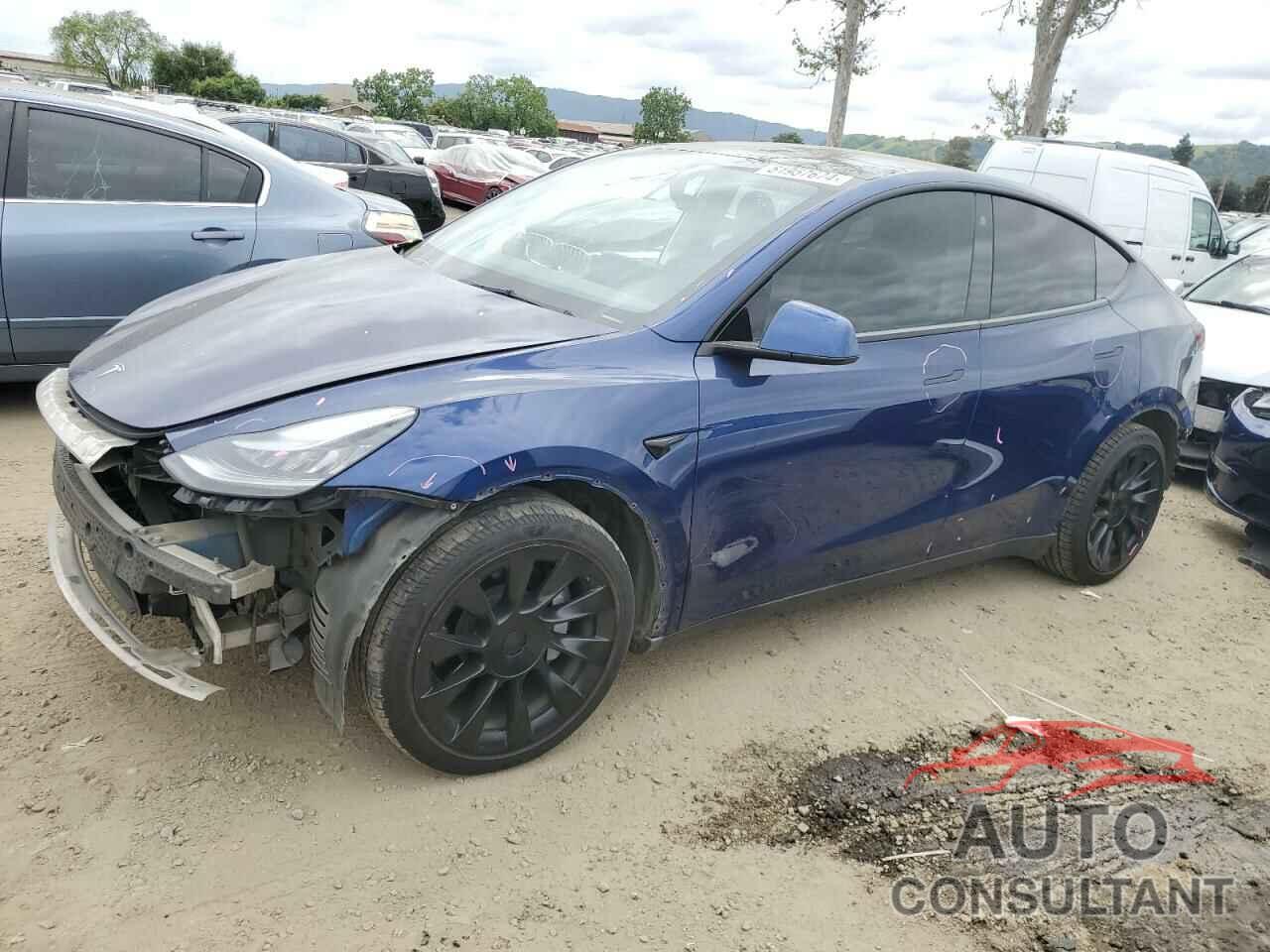 TESLA MODEL Y 2021 - 5YJYGDEE1MF095475