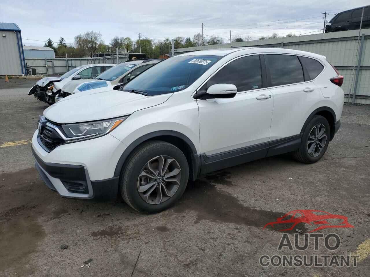 HONDA CRV 2020 - 2HKRW2H56LH698087