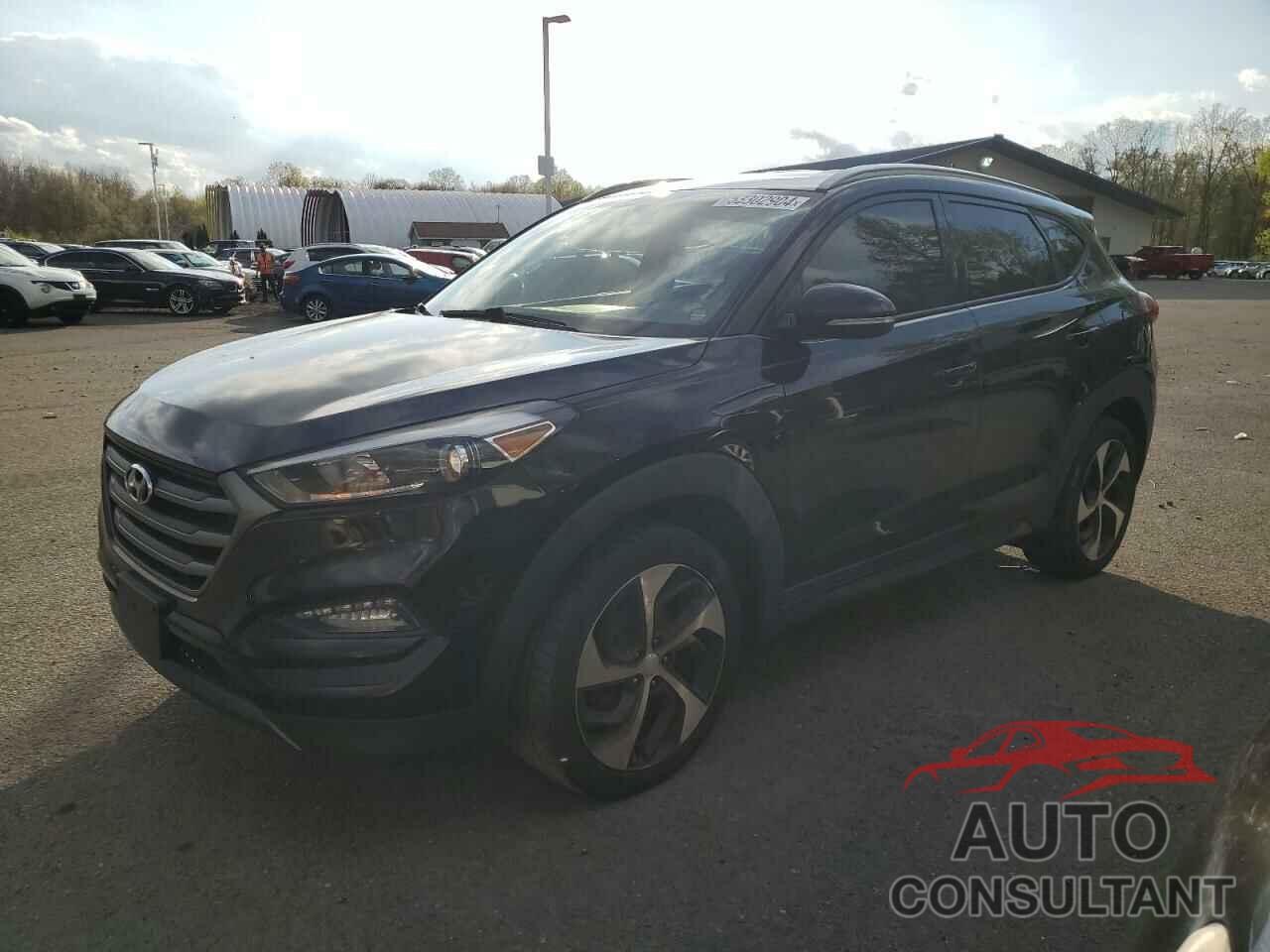 HYUNDAI TUCSON 2016 - KM8J3CA27GU125315