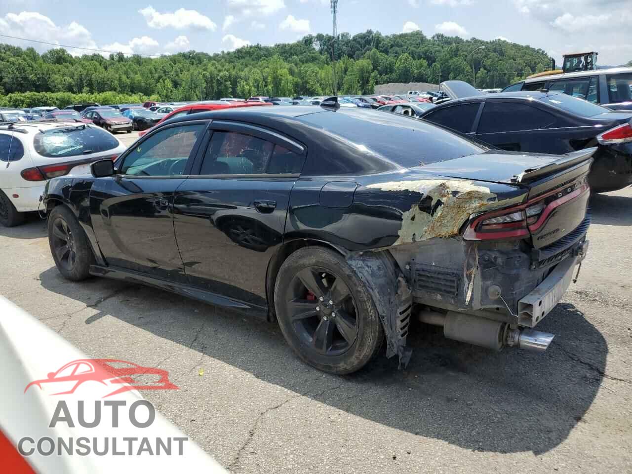 DODGE CHARGER 2017 - 2C3CDXCT7HH586241