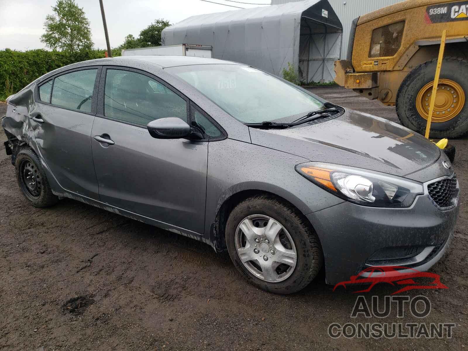 KIA FORTE 2016 - KNAFK4A62G5509581