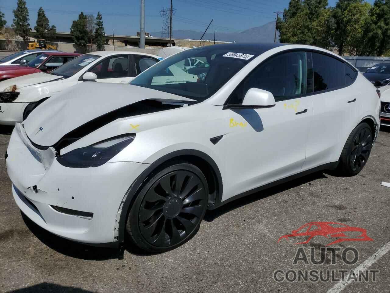 TESLA MODEL Y 2022 - 7SAYGDEFXNF340982