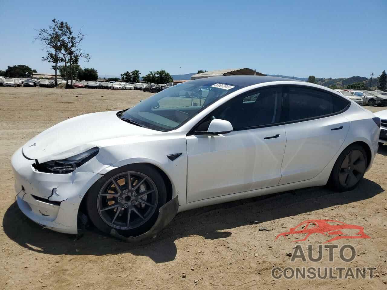 TESLA MODEL 3 2021 - 5YJ3E1EA3MF074879