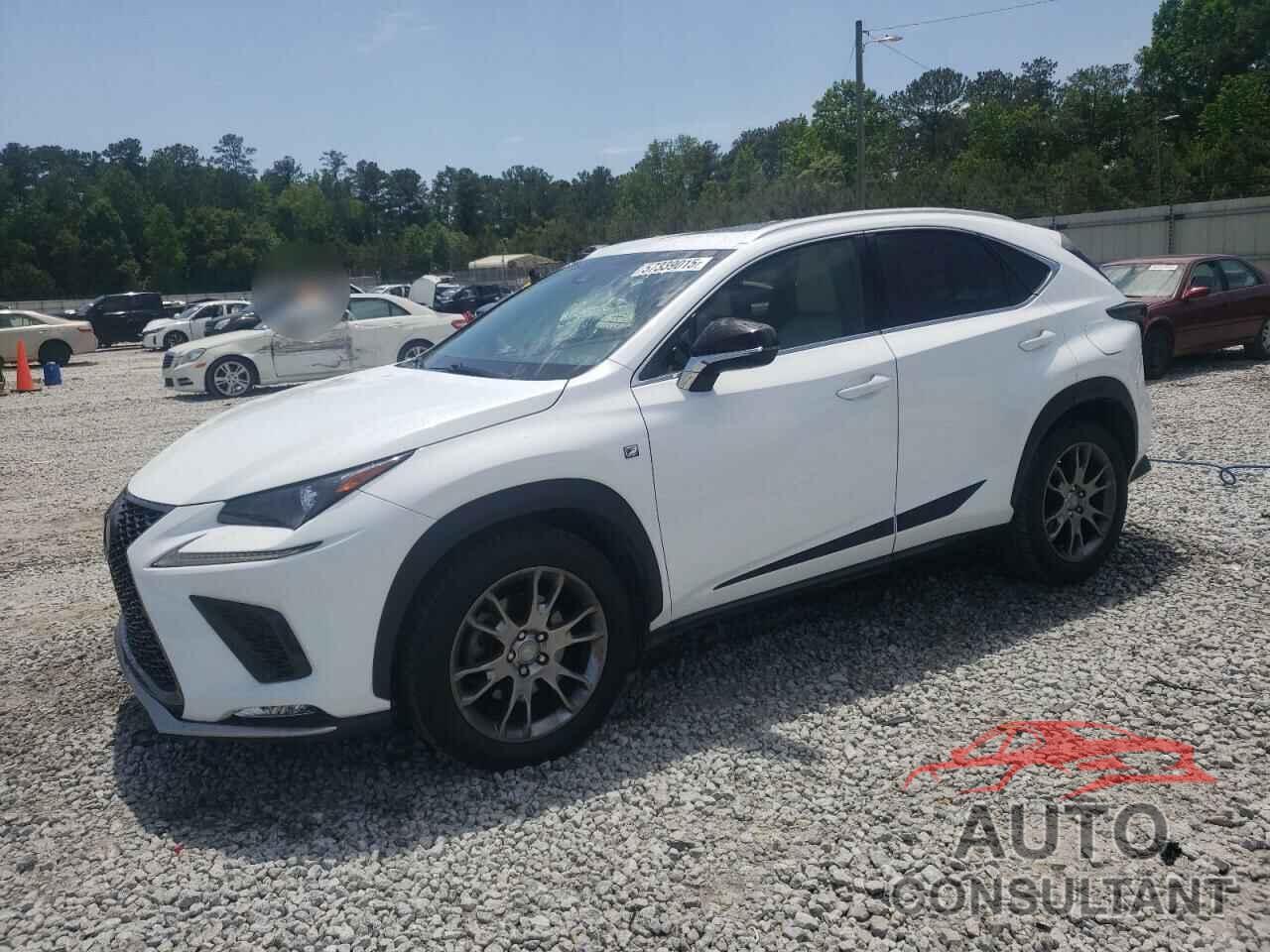LEXUS NX 2019 - JTJYARBZ2K2150972