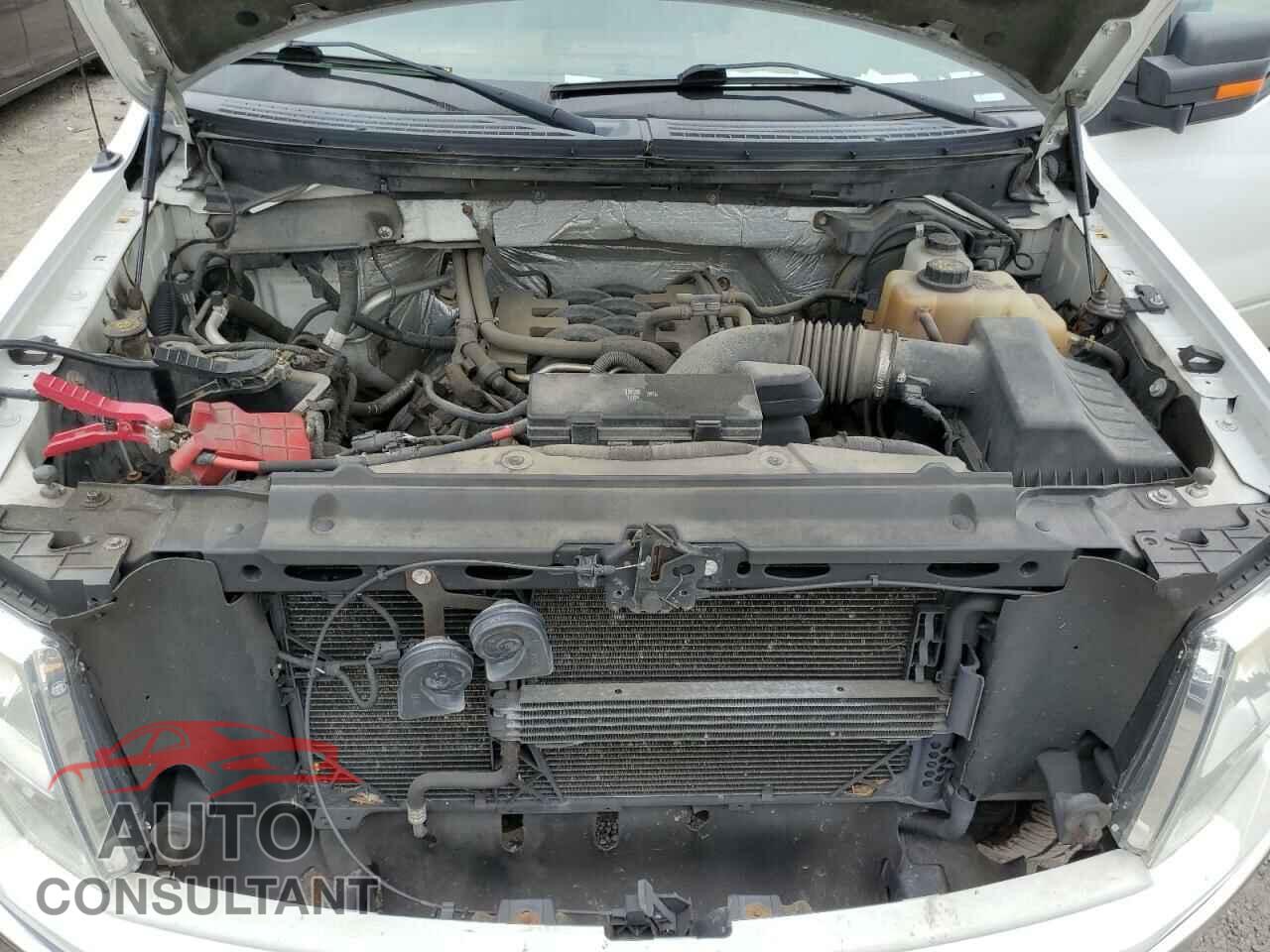 FORD F150 2011 - 1FTFX1EF6BFB40448