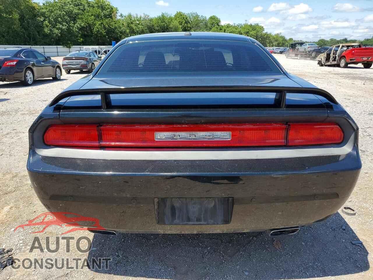 DODGE CHALLENGER 2013 - 2C3CDYBT3DH501218